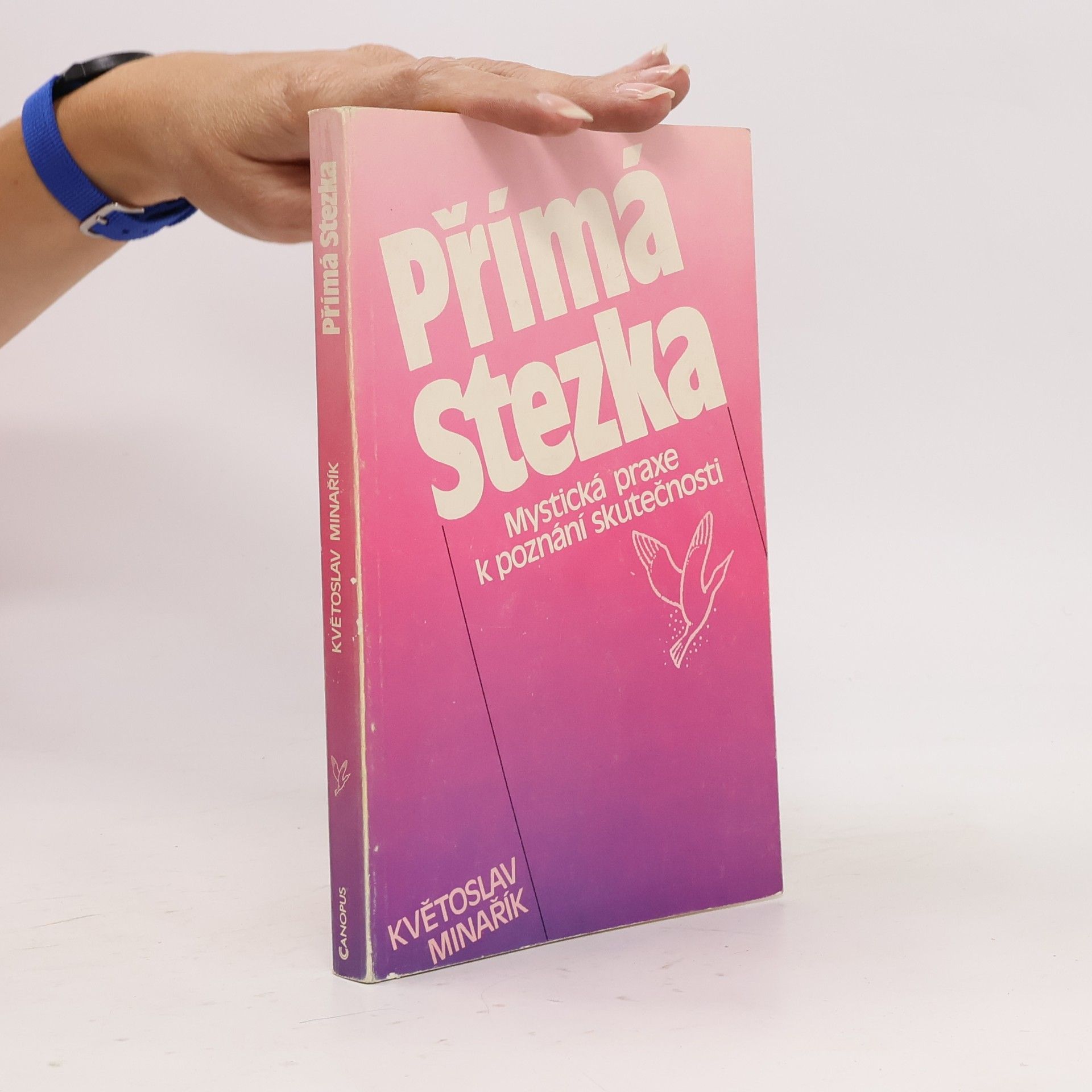 Přímá stezka