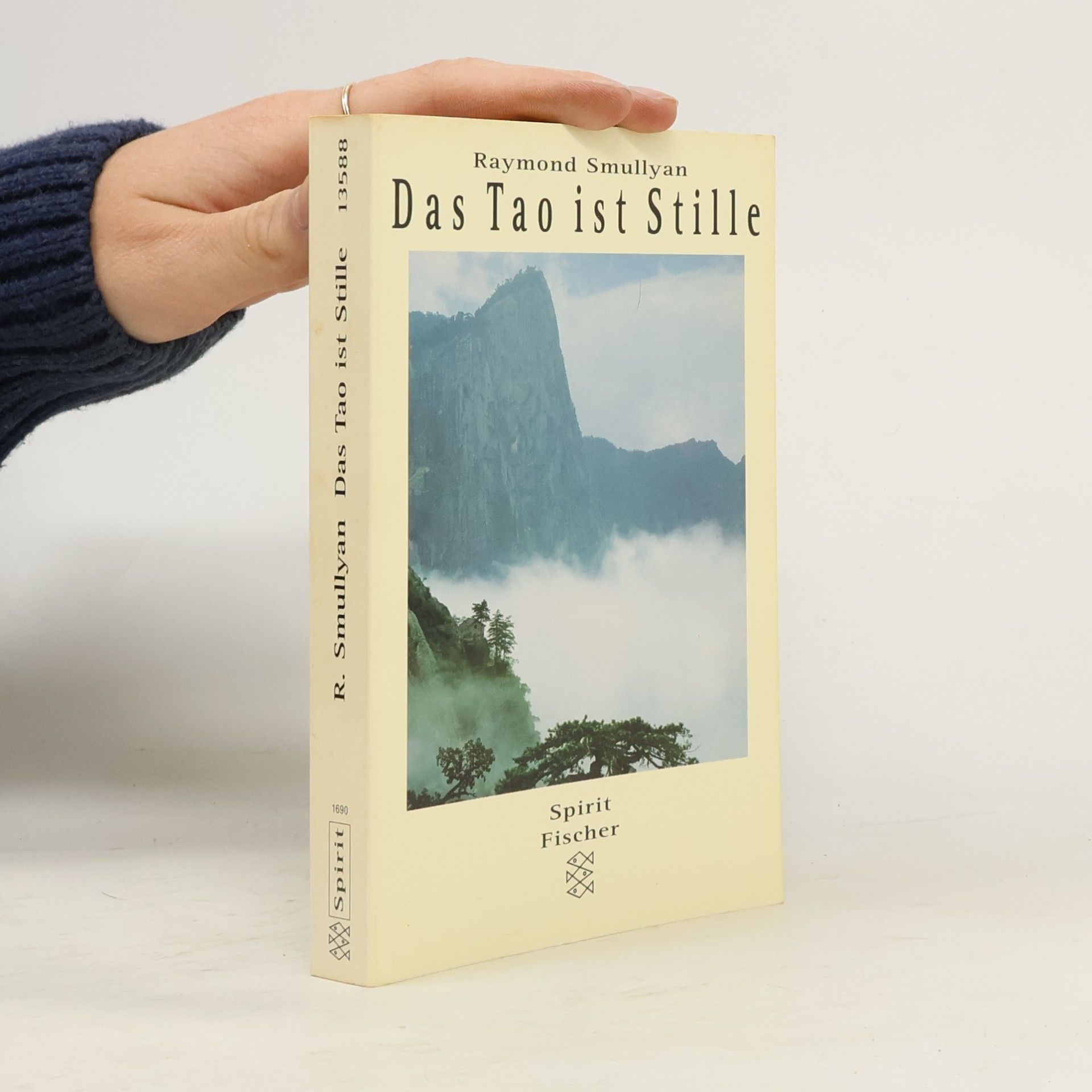 Raymond Smullyan Das Tao ist Stille