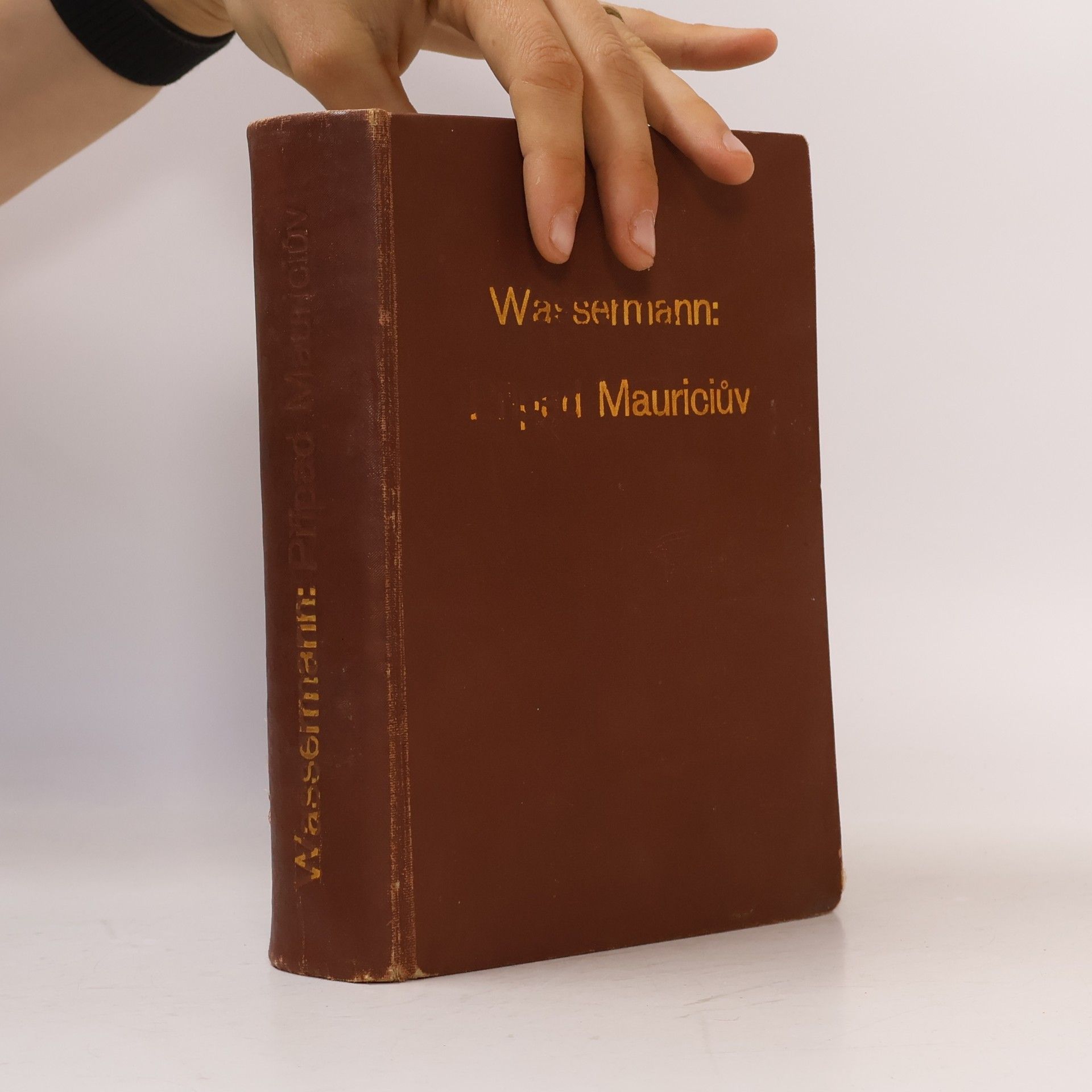Jakob Wassermann Případ Mauriciův