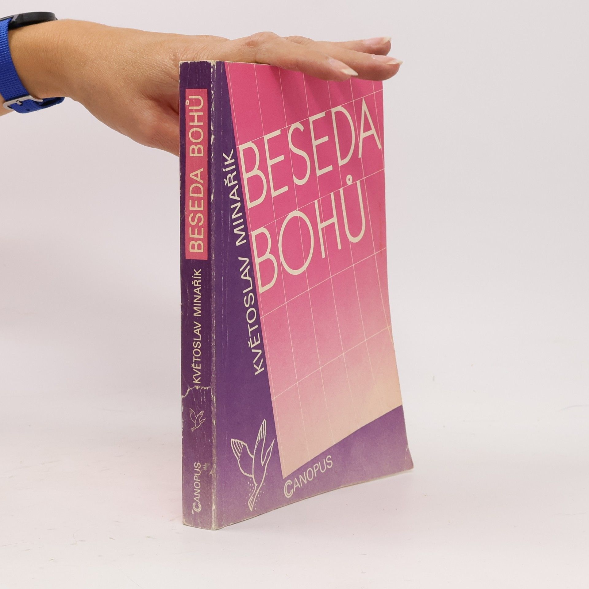 Květoslav Minařík Beseda bohů