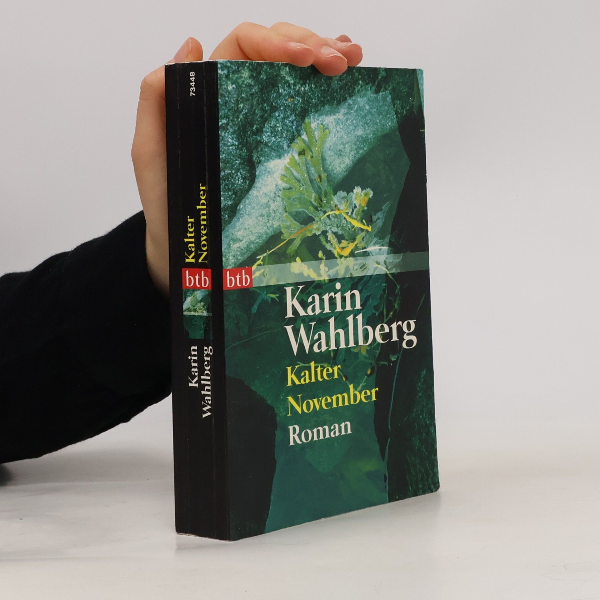 Kalter November. Roman