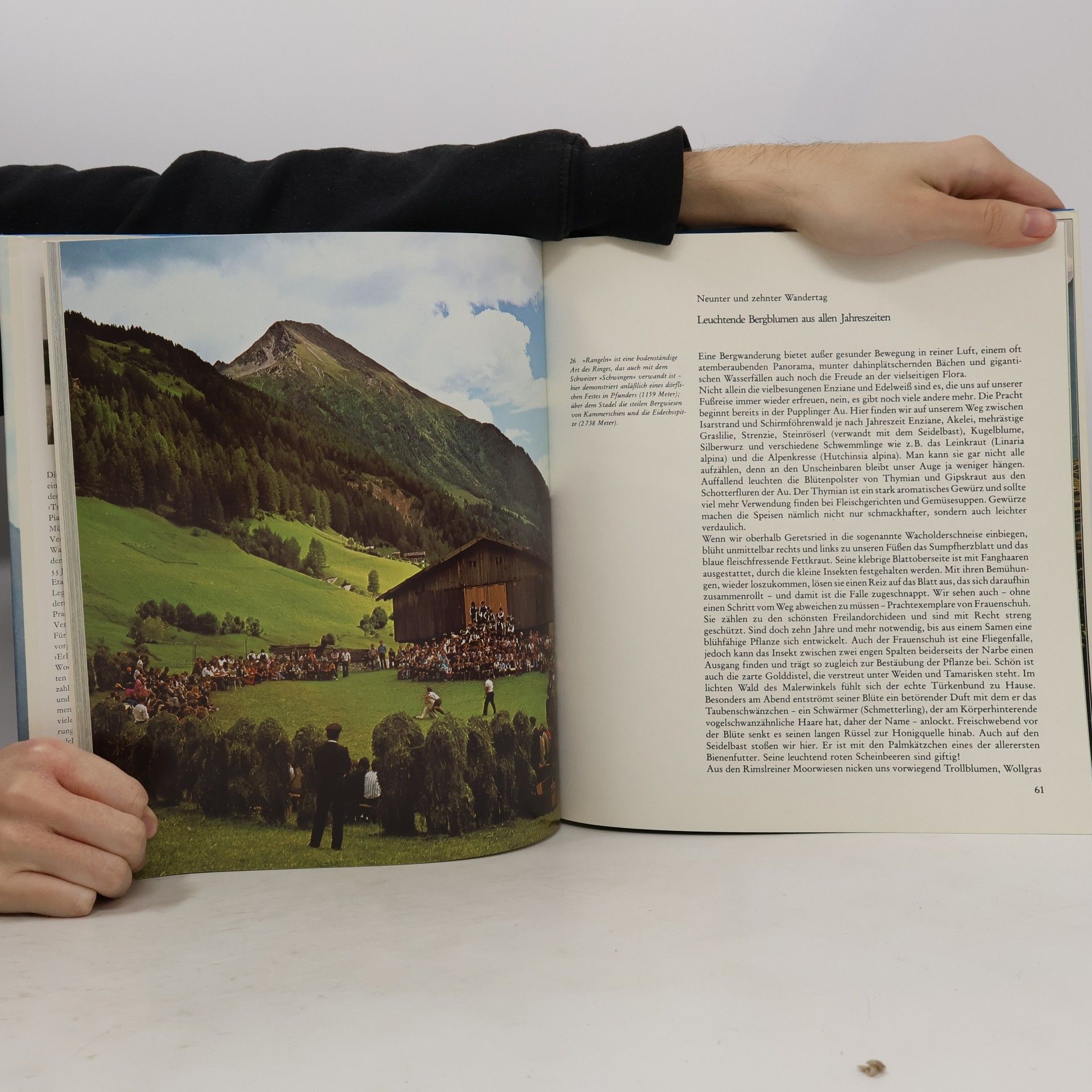 Ludwig Graßler Zu Fuss über die Alpen