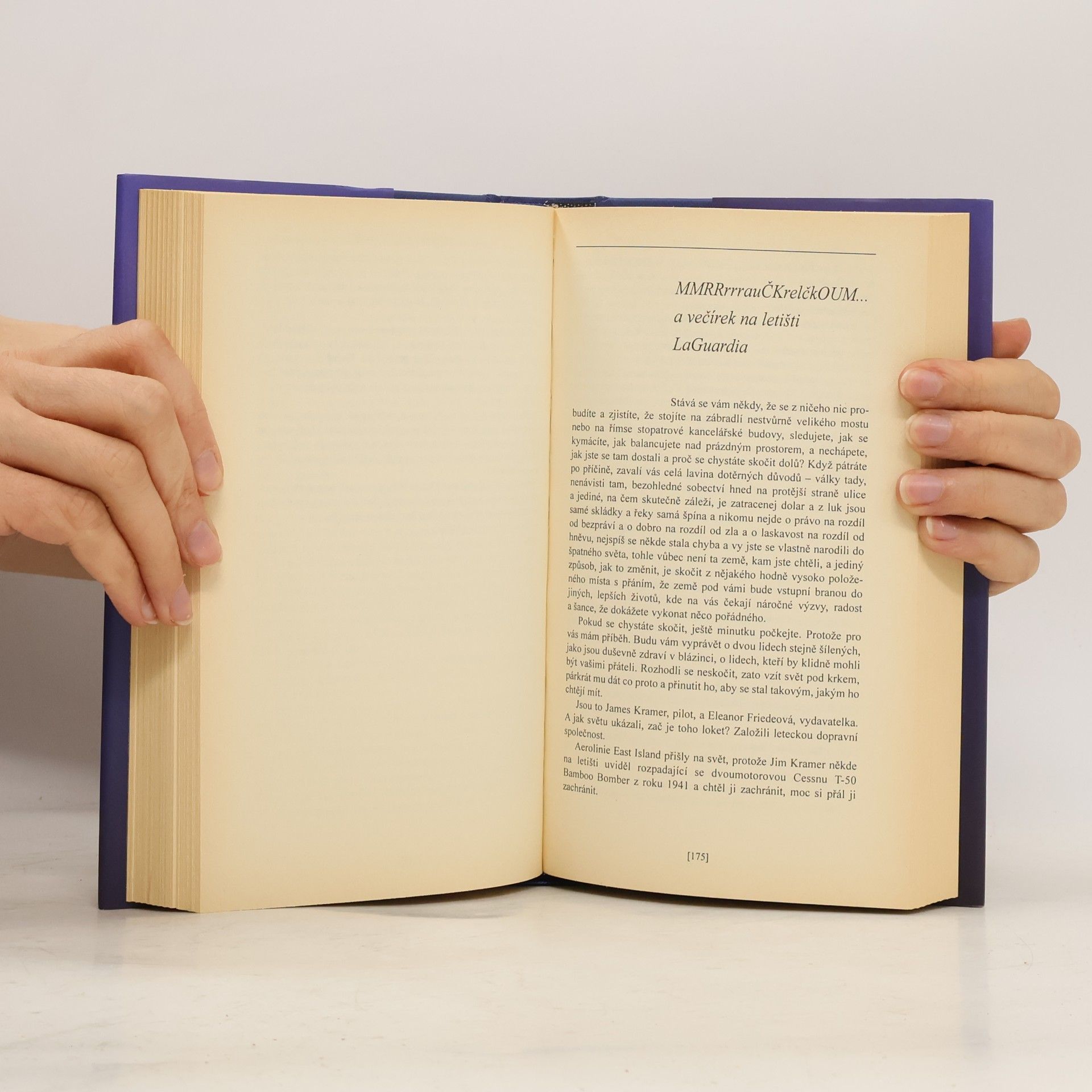 Richard David Bach Dar křídel
