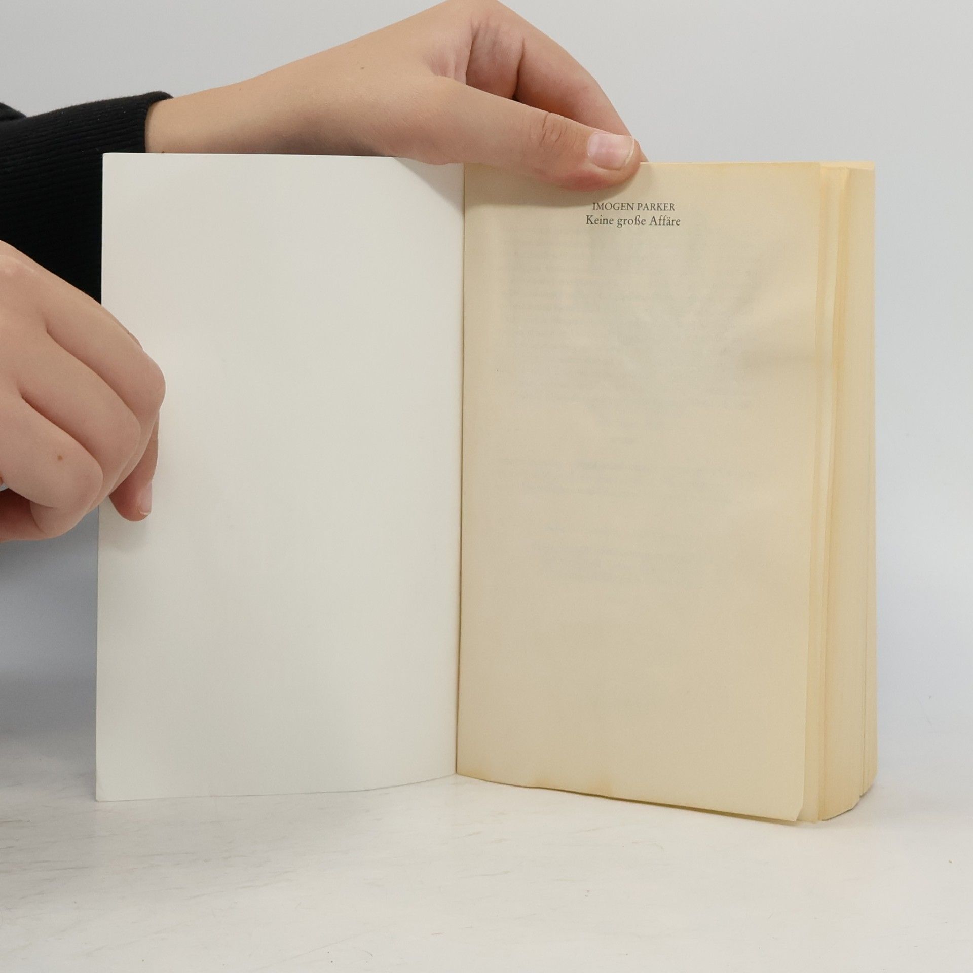 Imogen Parker Keine große Affäre. Roman. Aus d. Engl. v. Anje Althans