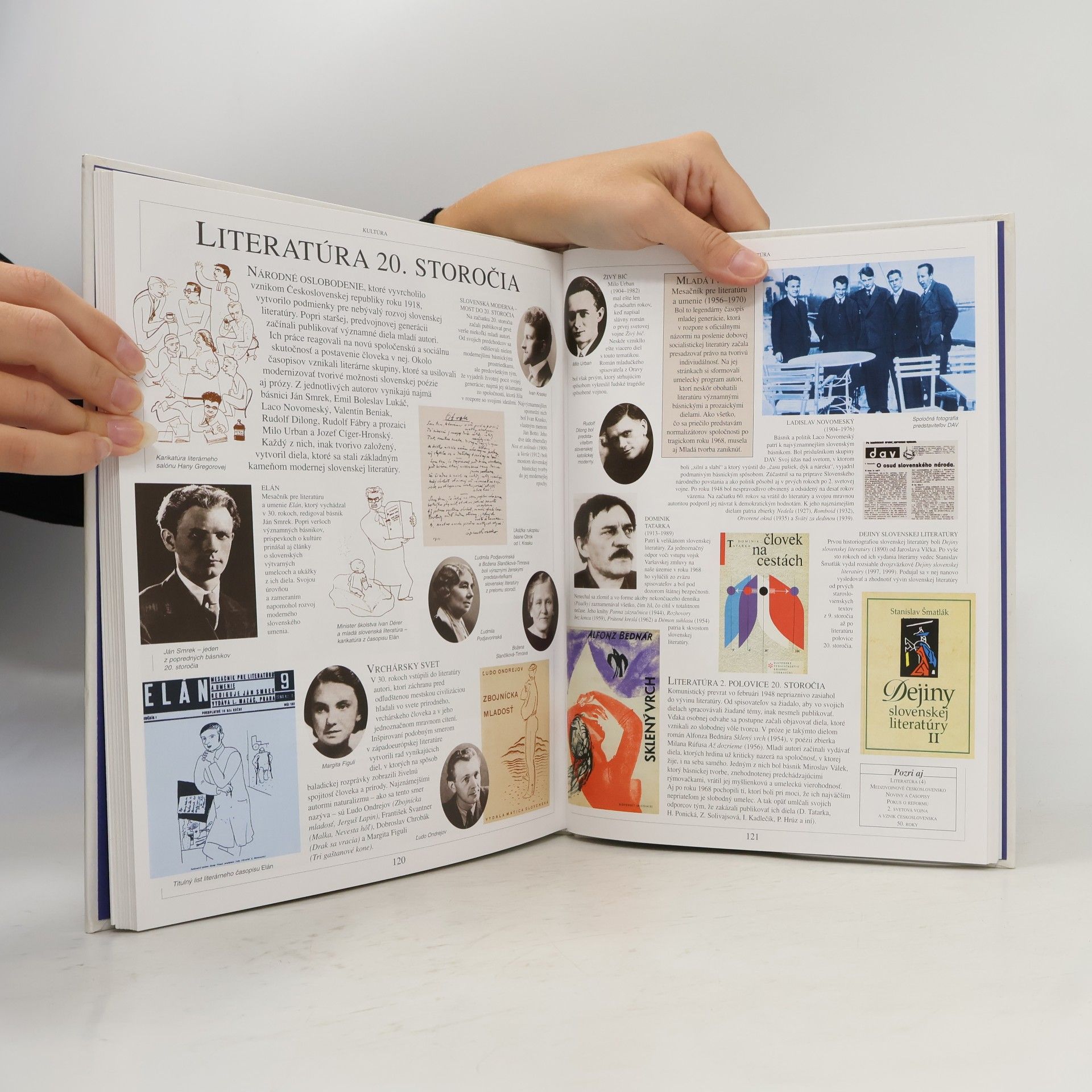 Autorenkollektiv Detská ilustrovaná encyklopédia 5: Naša vlasť