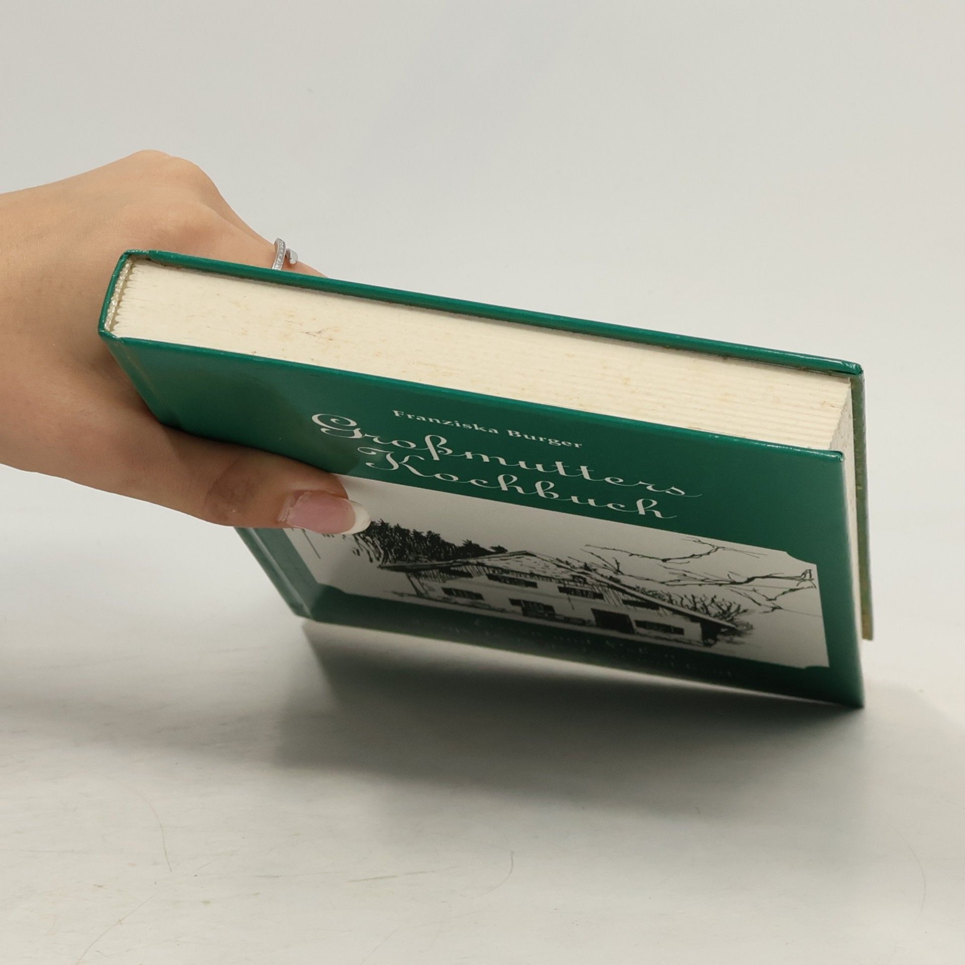 Franziska Bürger-Nock Großmutters Kochbuch