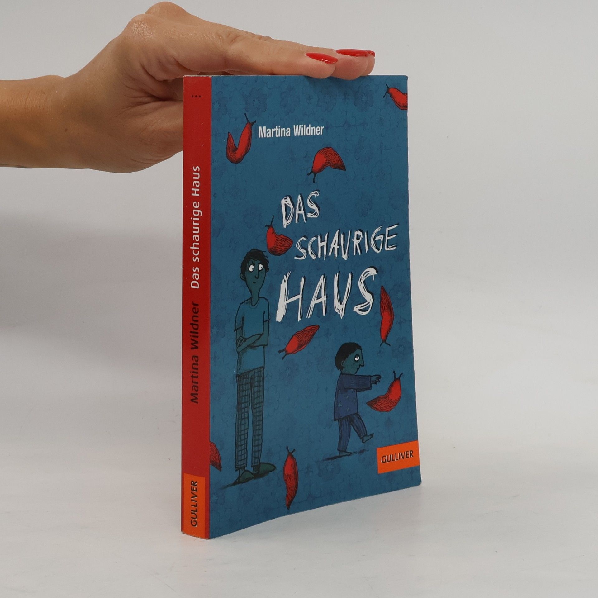 Martina Wildner Das schaurige Haus