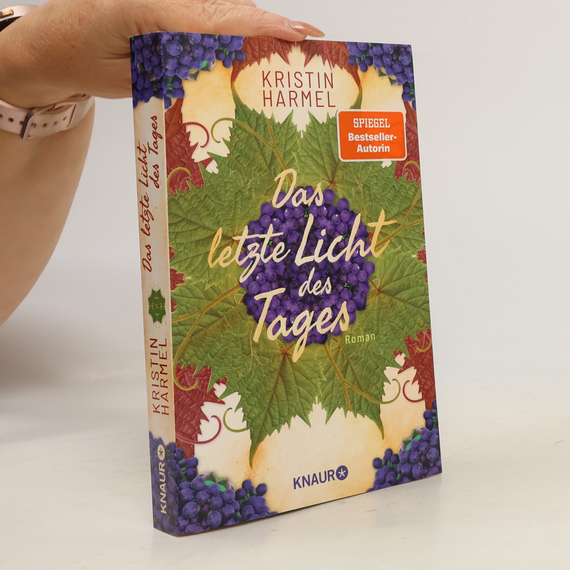 Kristin Harmel Das letzte Licht des Tages