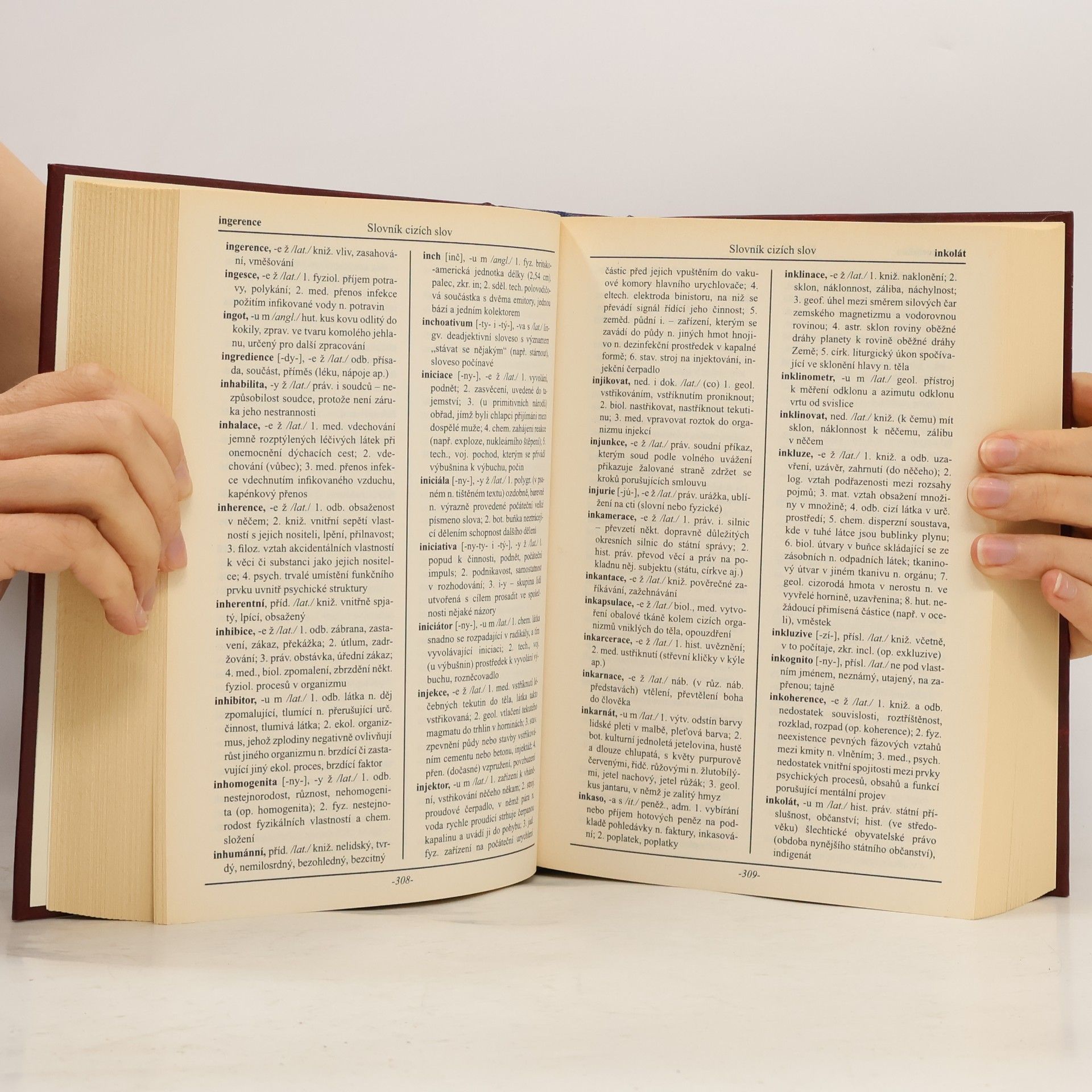 Autorenkollektiv Velký slovník cizích slov