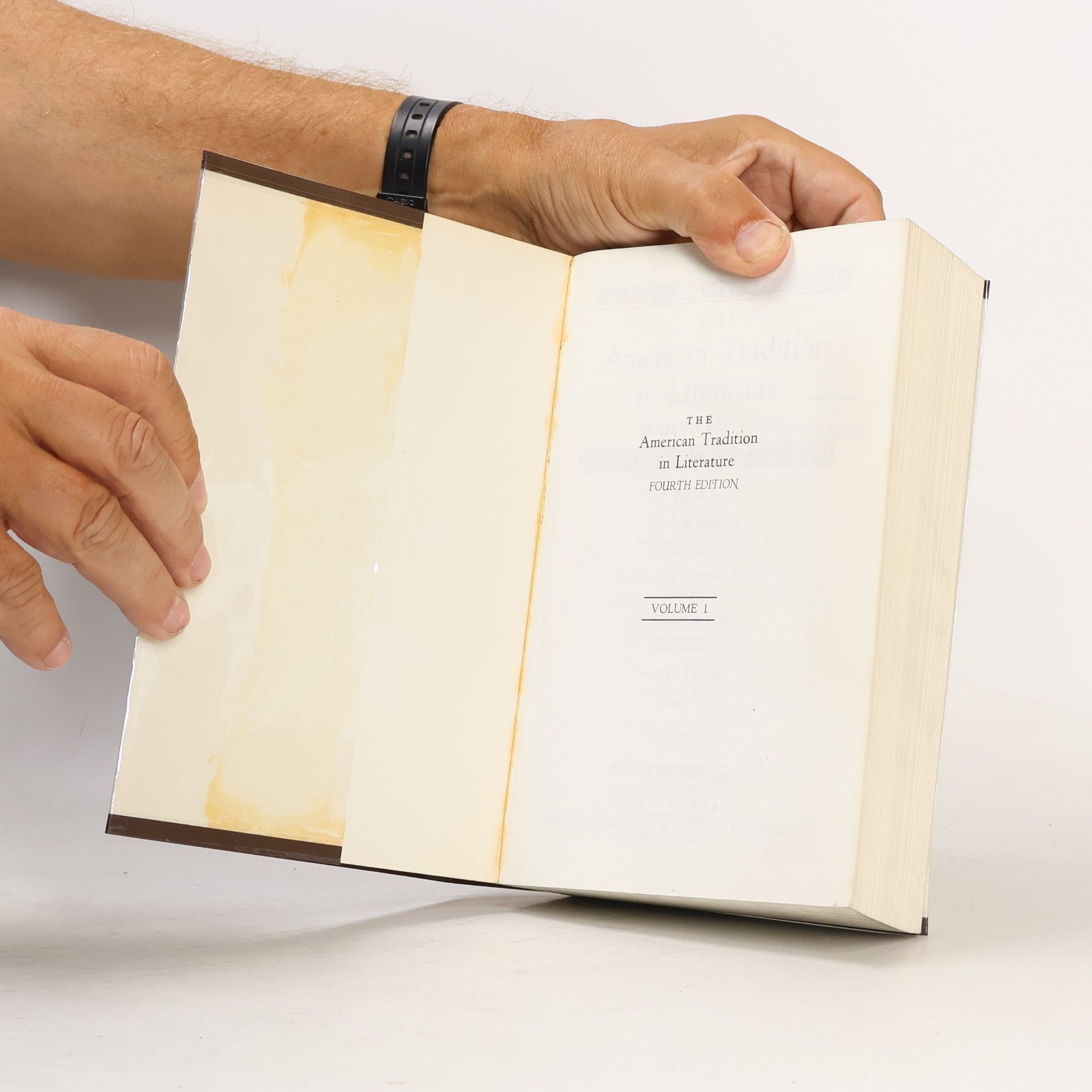Sculley Bradley The American Tradition in Literature
