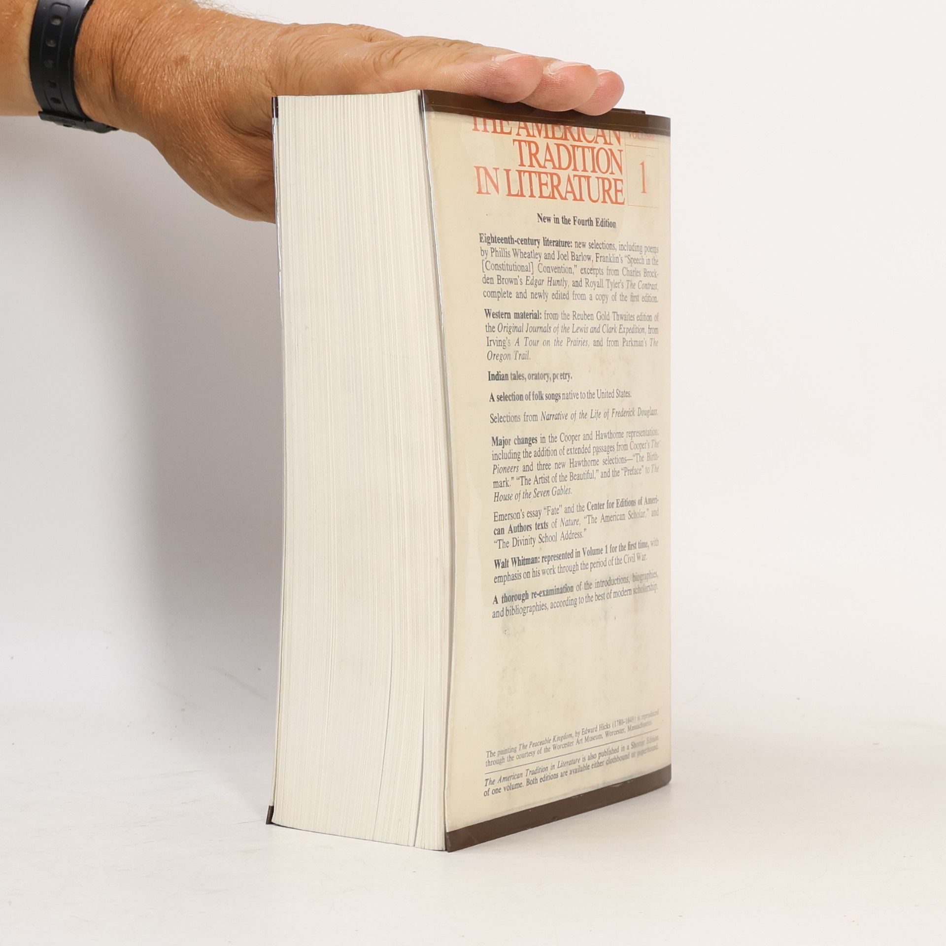 Sculley Bradley The American Tradition in Literature