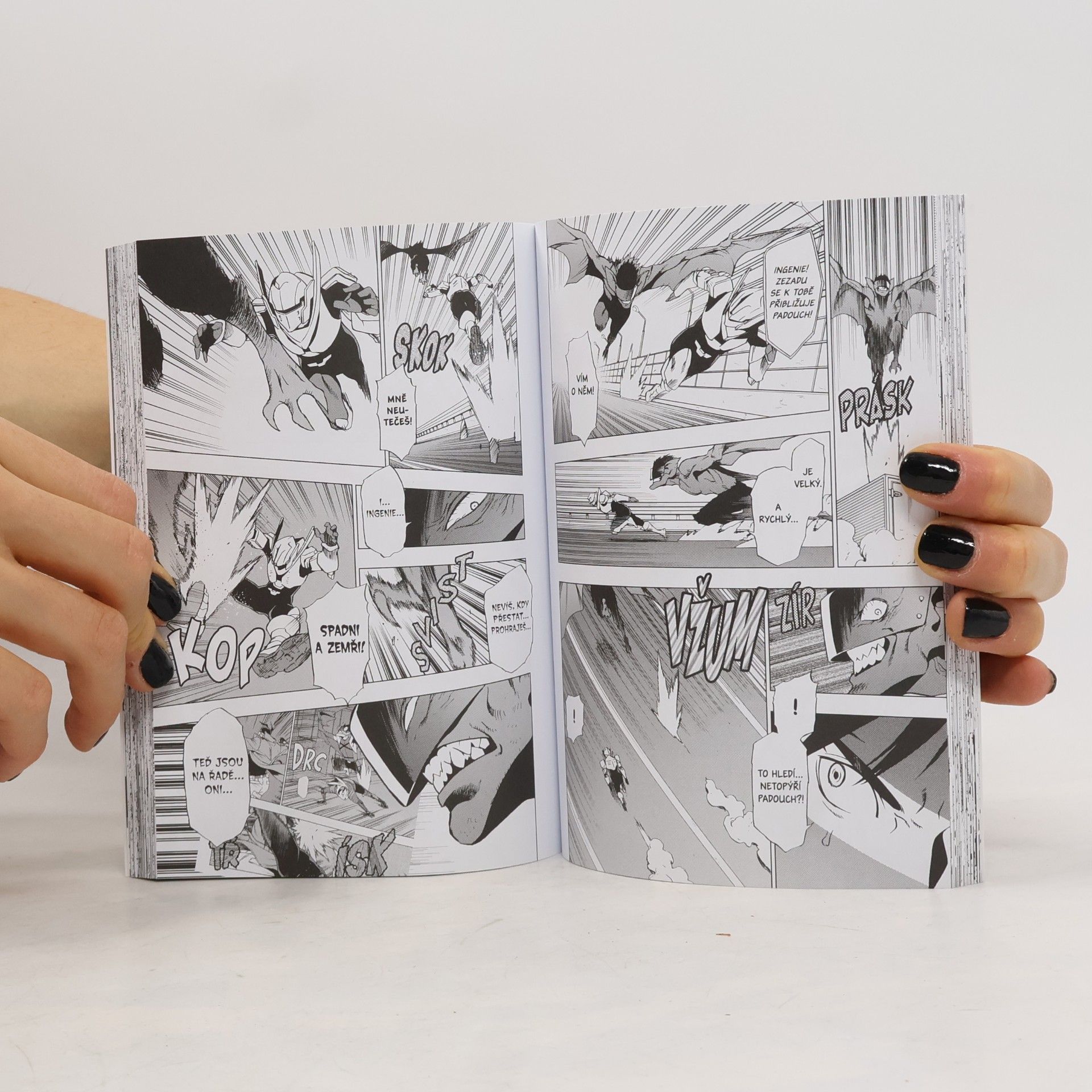 Kōhei Horikoshi Občanská hlídka : moje hrdinská akademie mimo zákon. 5