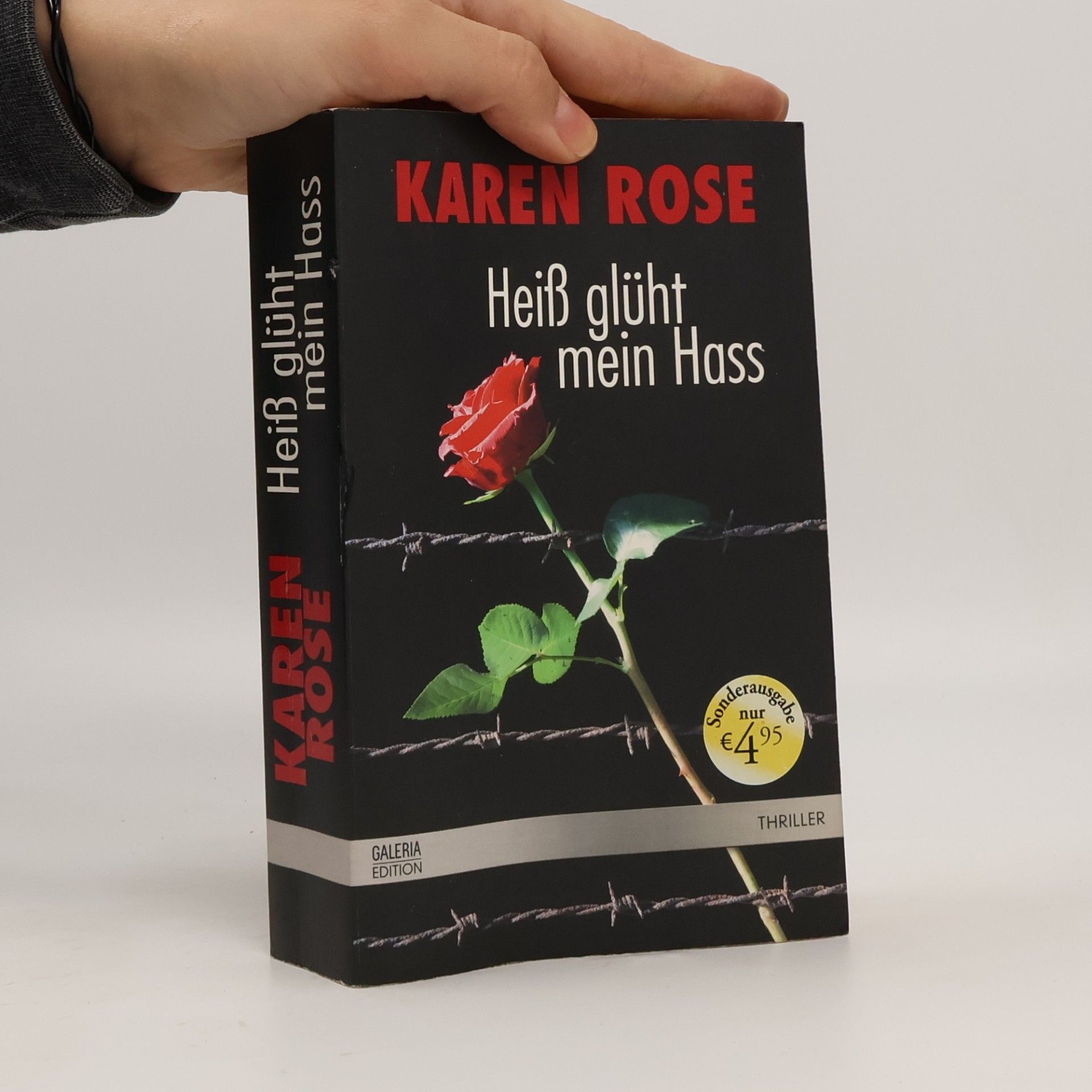 Karen Rose Heiß glüht mein Hass