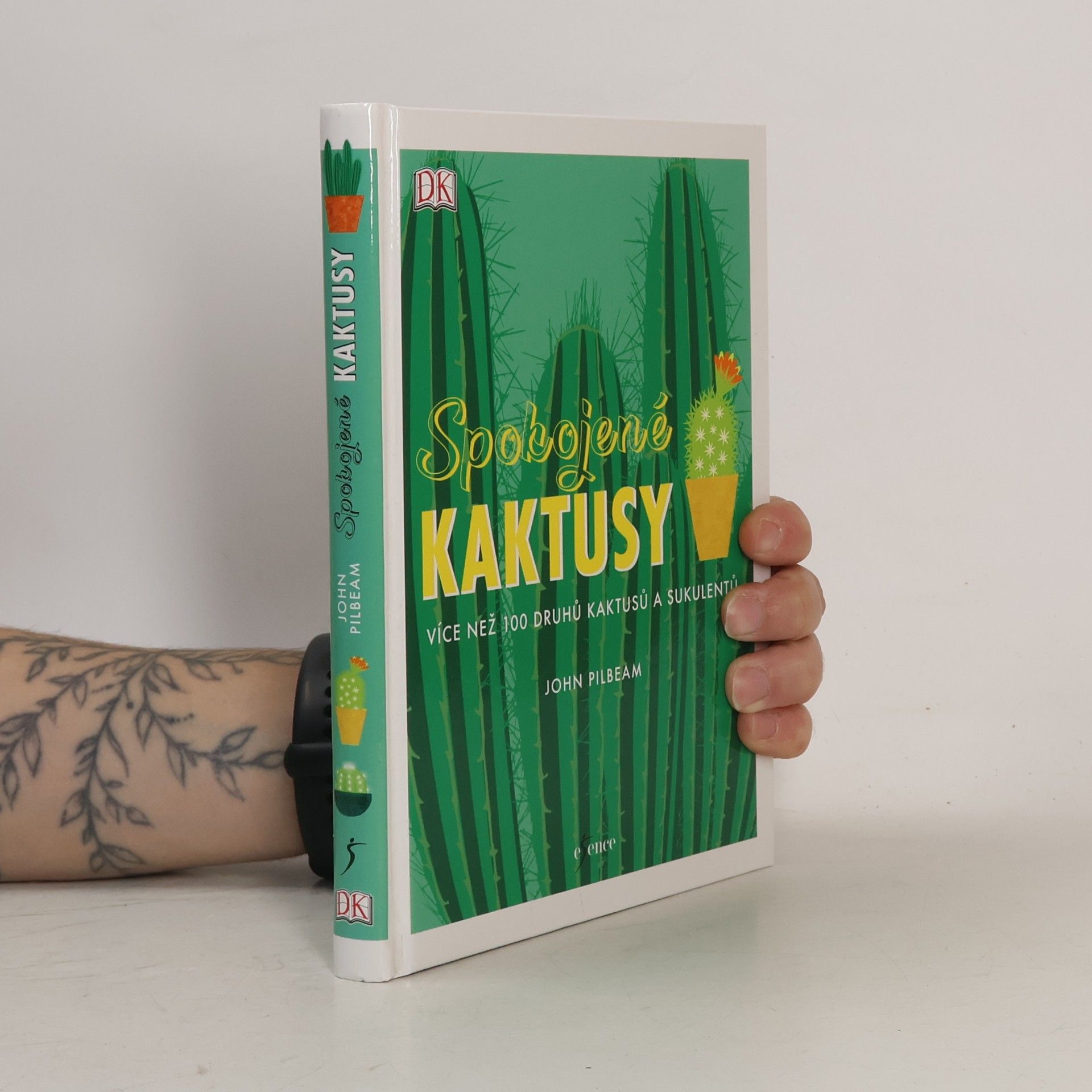 John Pilbeam Spokojené kaktusy