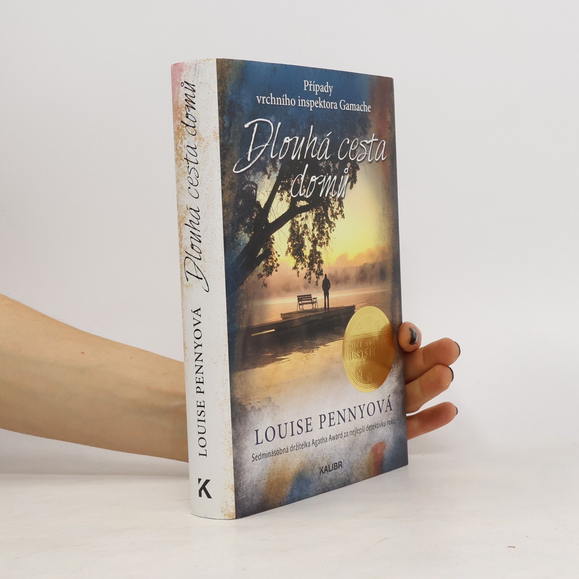 Louise Penny Dlouhá cesta domů