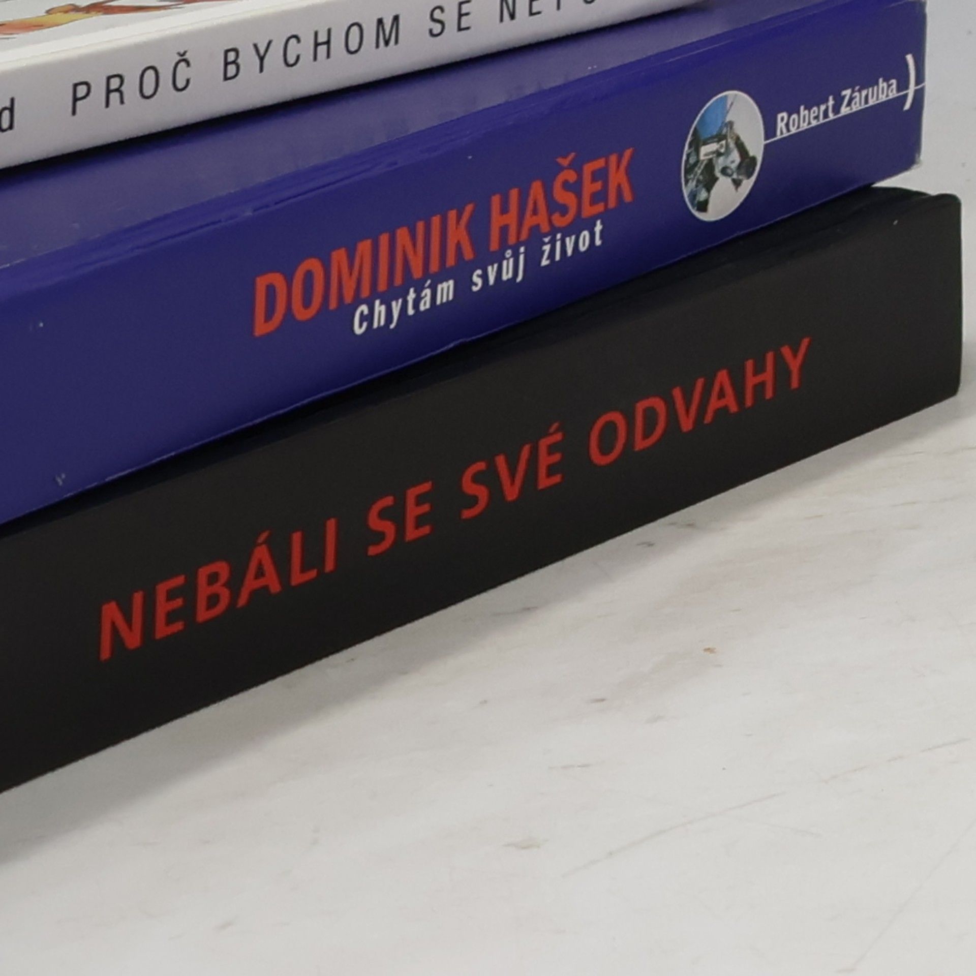 Robert Fulghum Už hořela, když jsem si do ní lehal