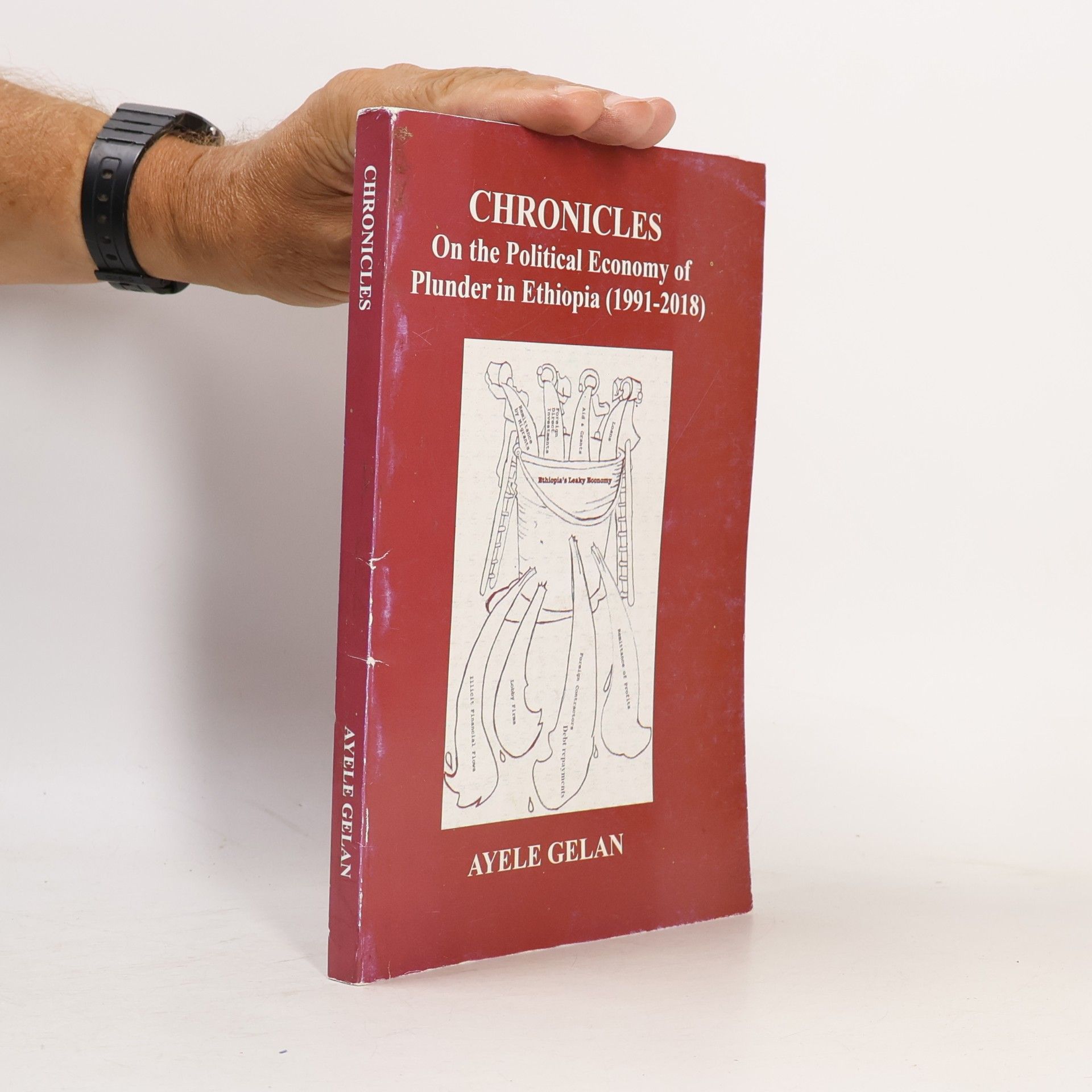 Ayele Gelan Chronicles on the Political Economy of Plunder in Ethiopia (1991-2018)
