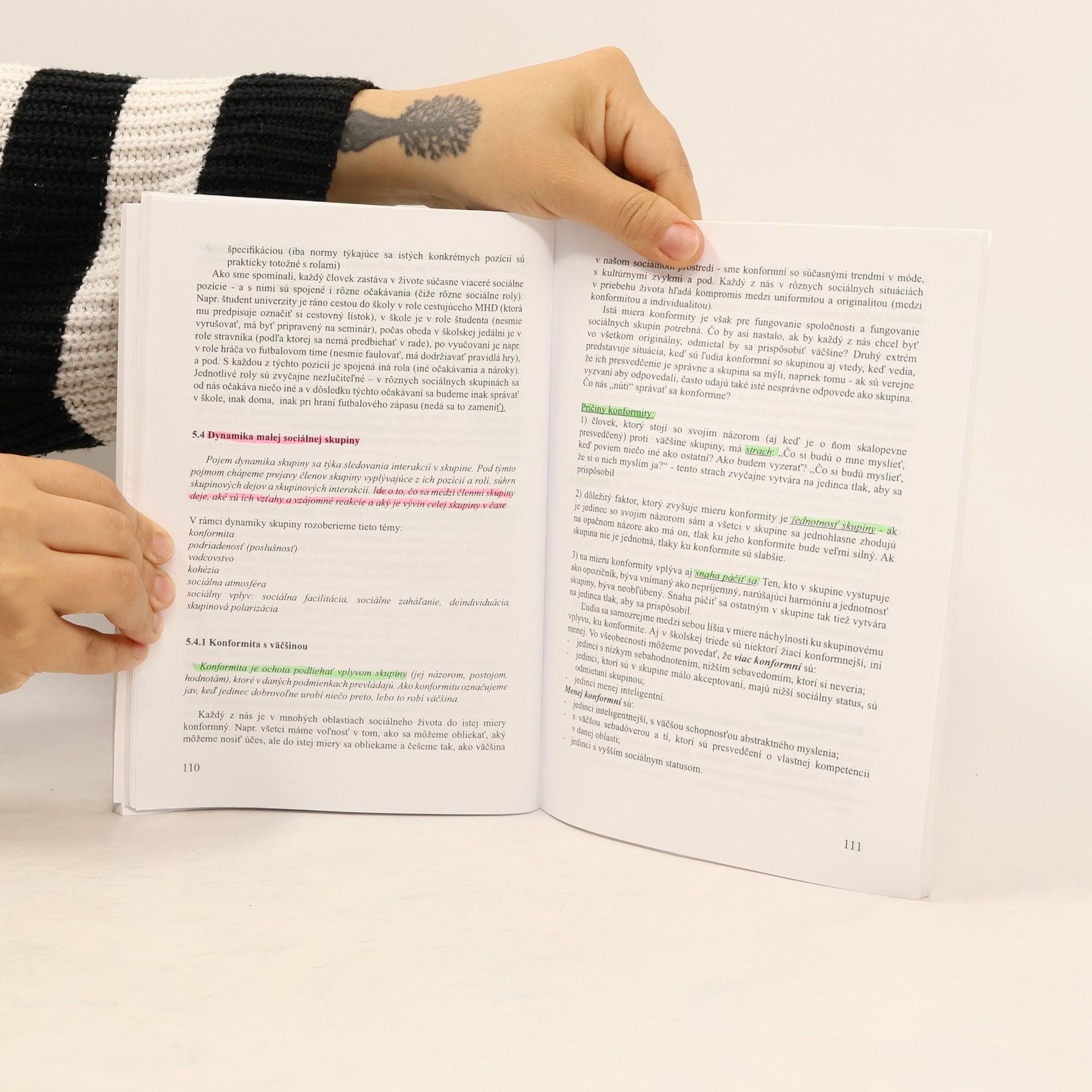 Nikoleta Izdenczyová Základy všeobecnej a sociálnej psychológie