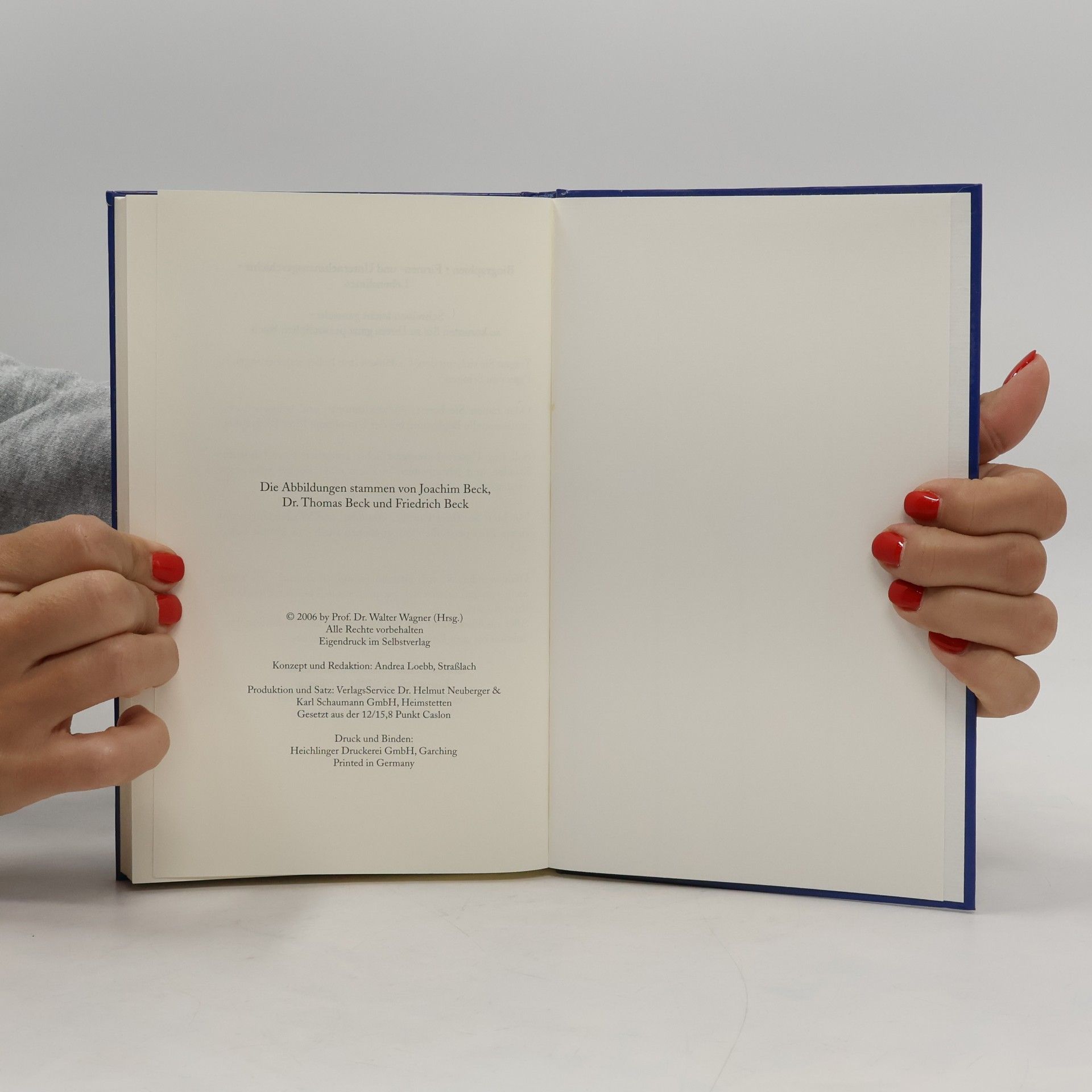 Autores varios Wiltzau