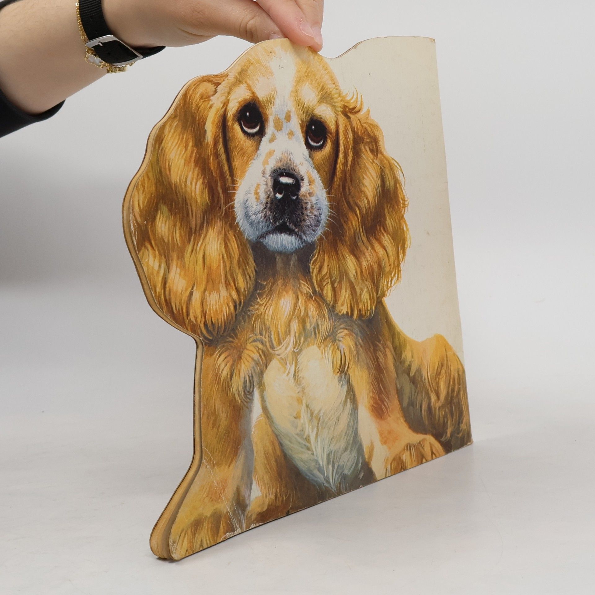Jan Pfloog The Puppy Book