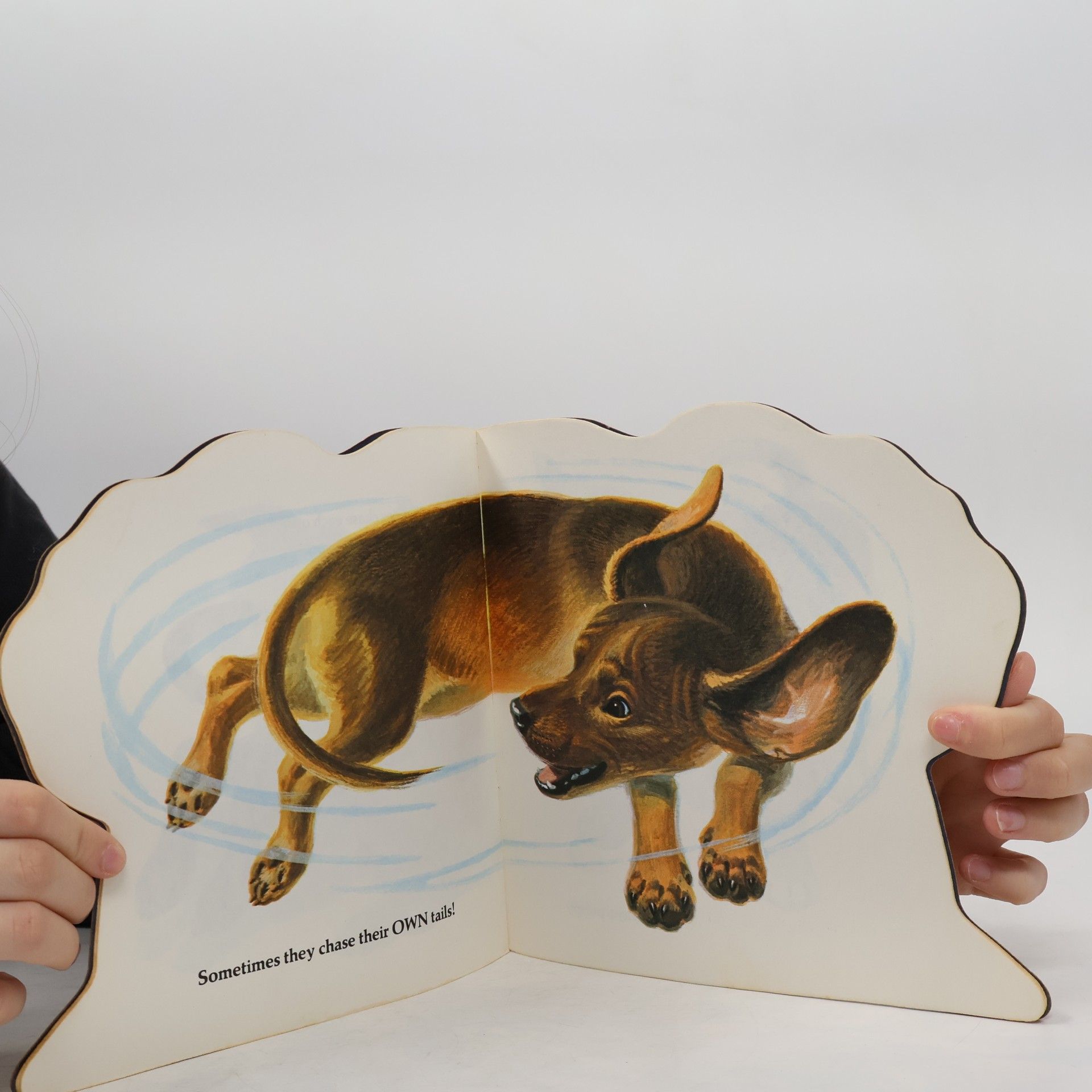 Jan Pfloog The Puppy Book