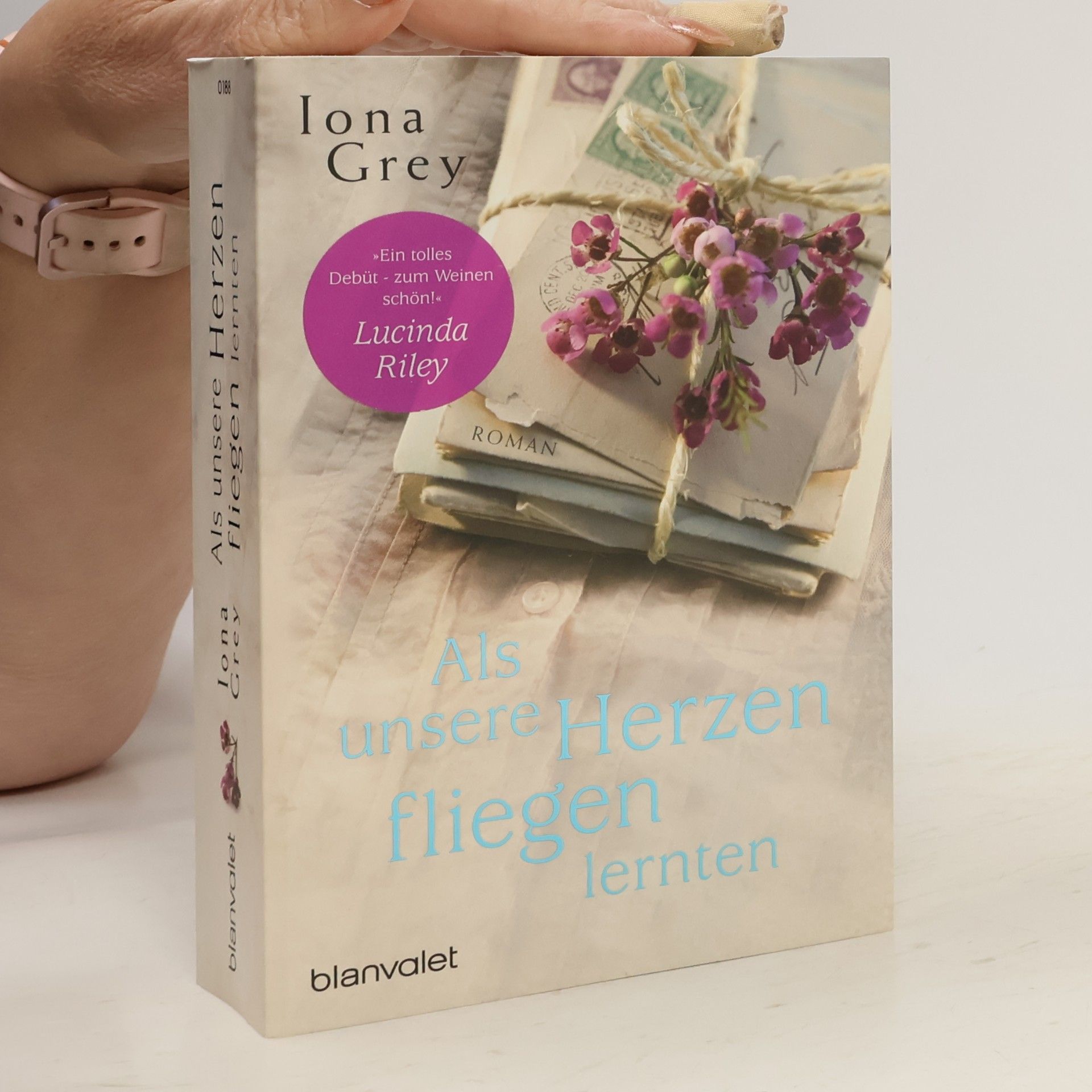 Iona Grey Als unsere Herzen fliegen lernten
