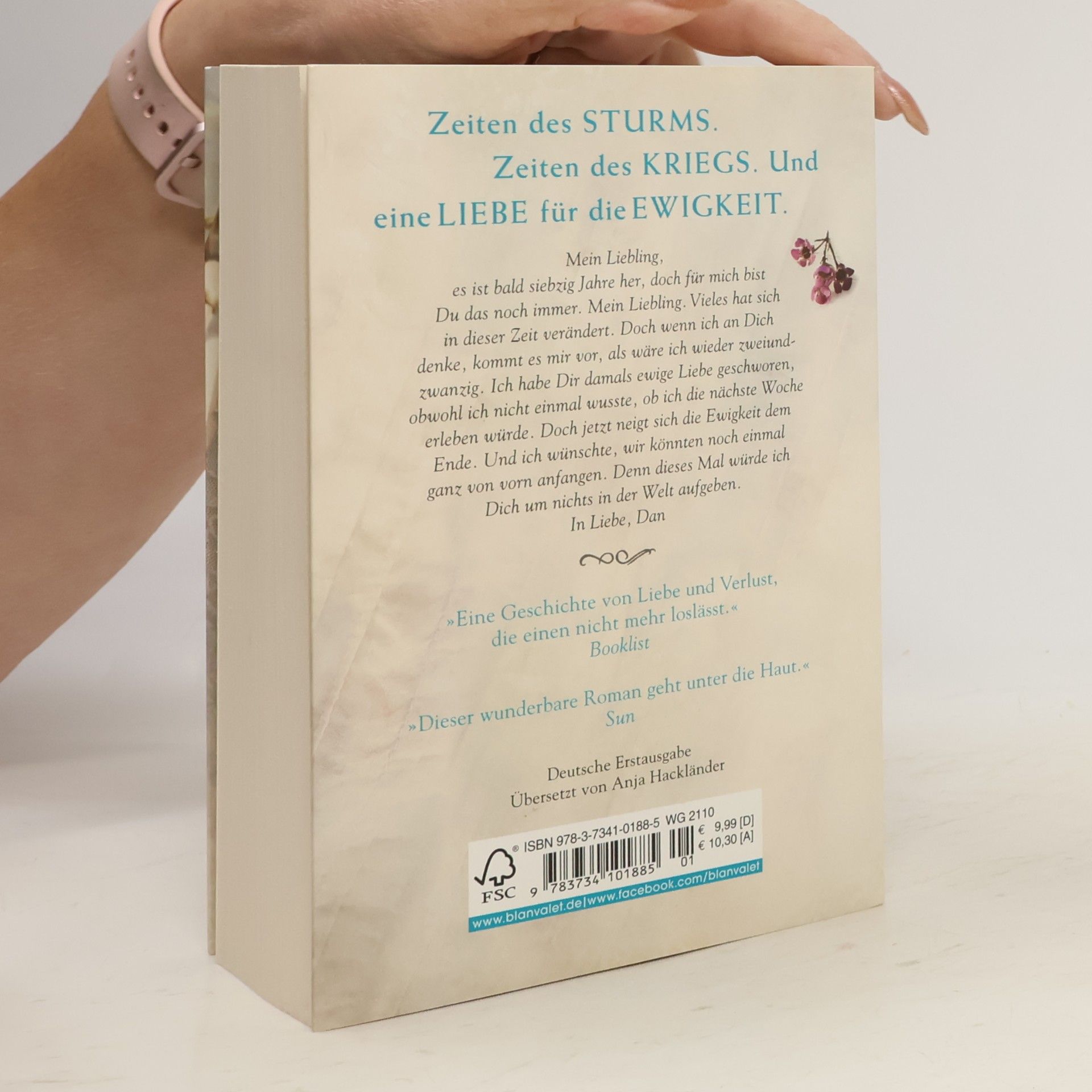 Iona Grey Als unsere Herzen fliegen lernten