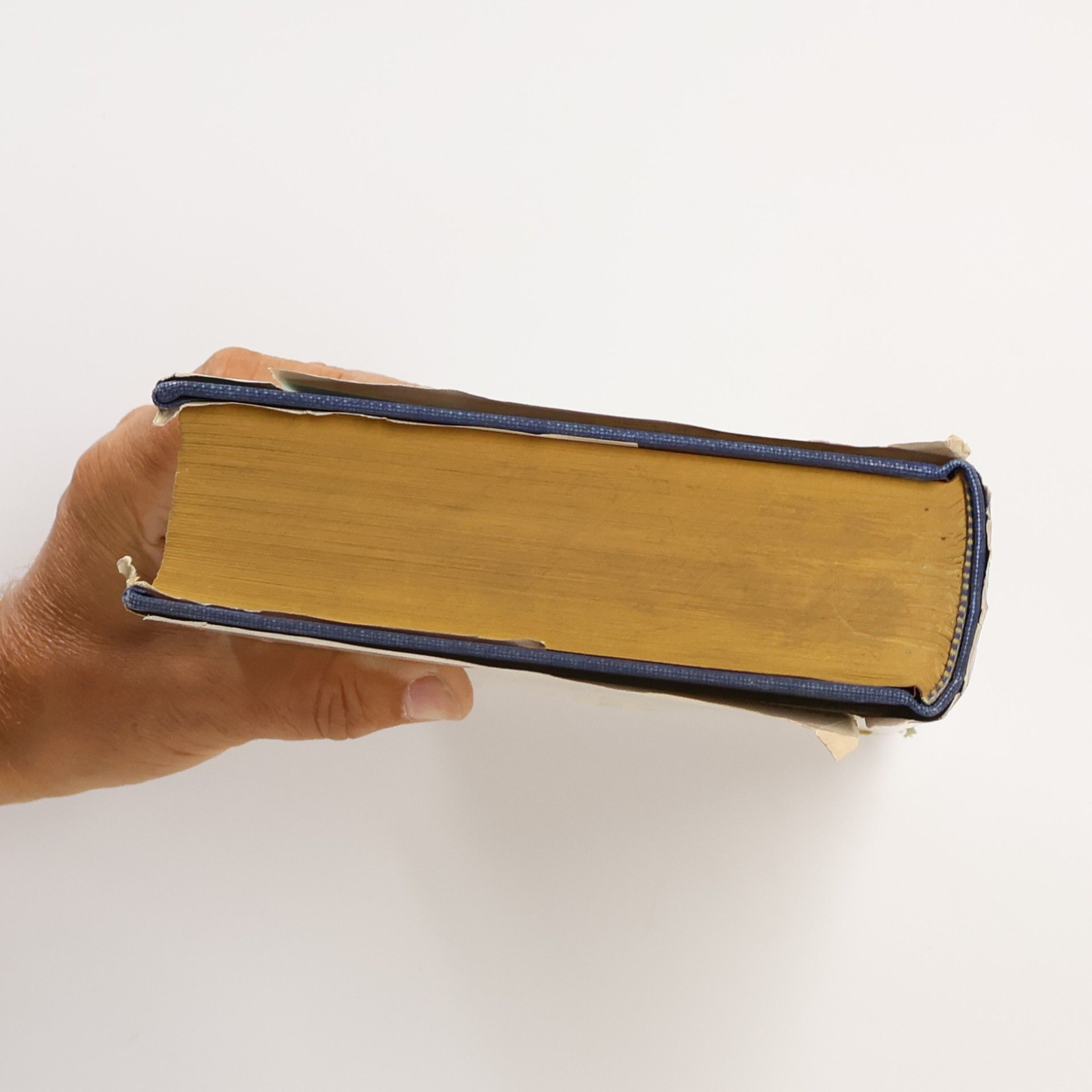 Kolektiv autorů A Library Of Literary Criticism