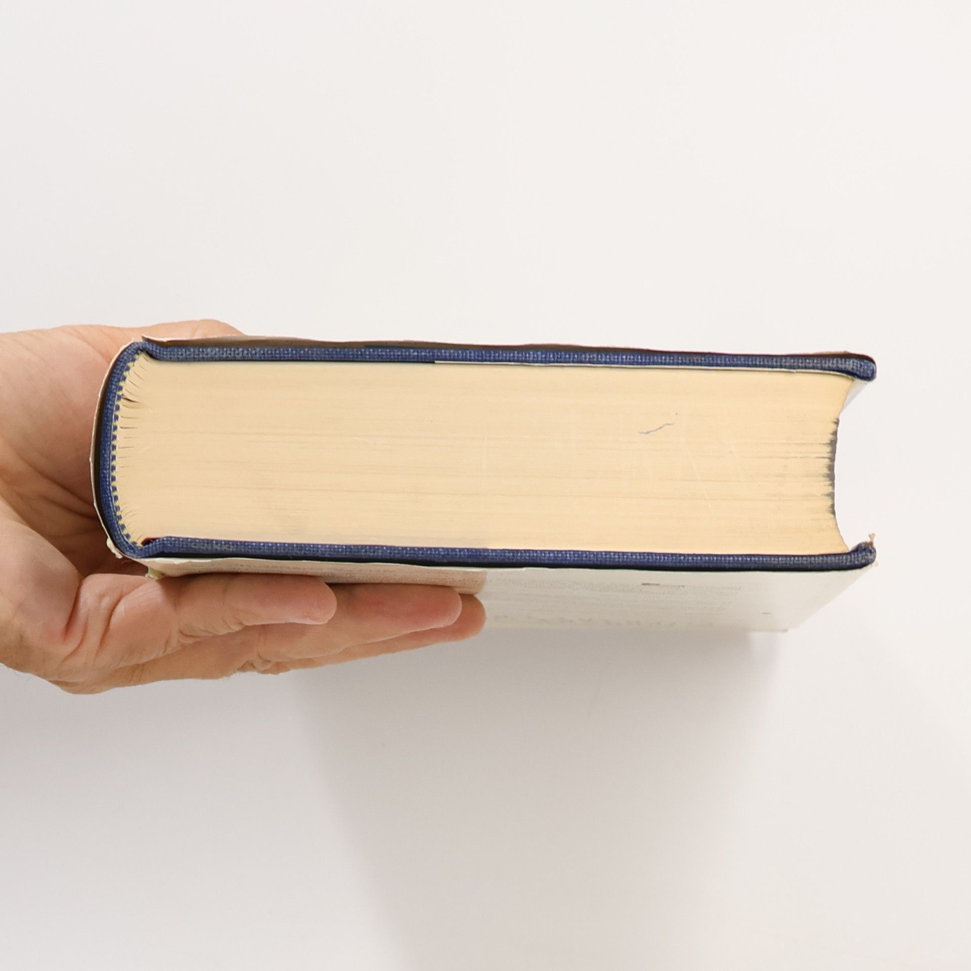 Kolektiv autorů A Library Of Literary Criticism