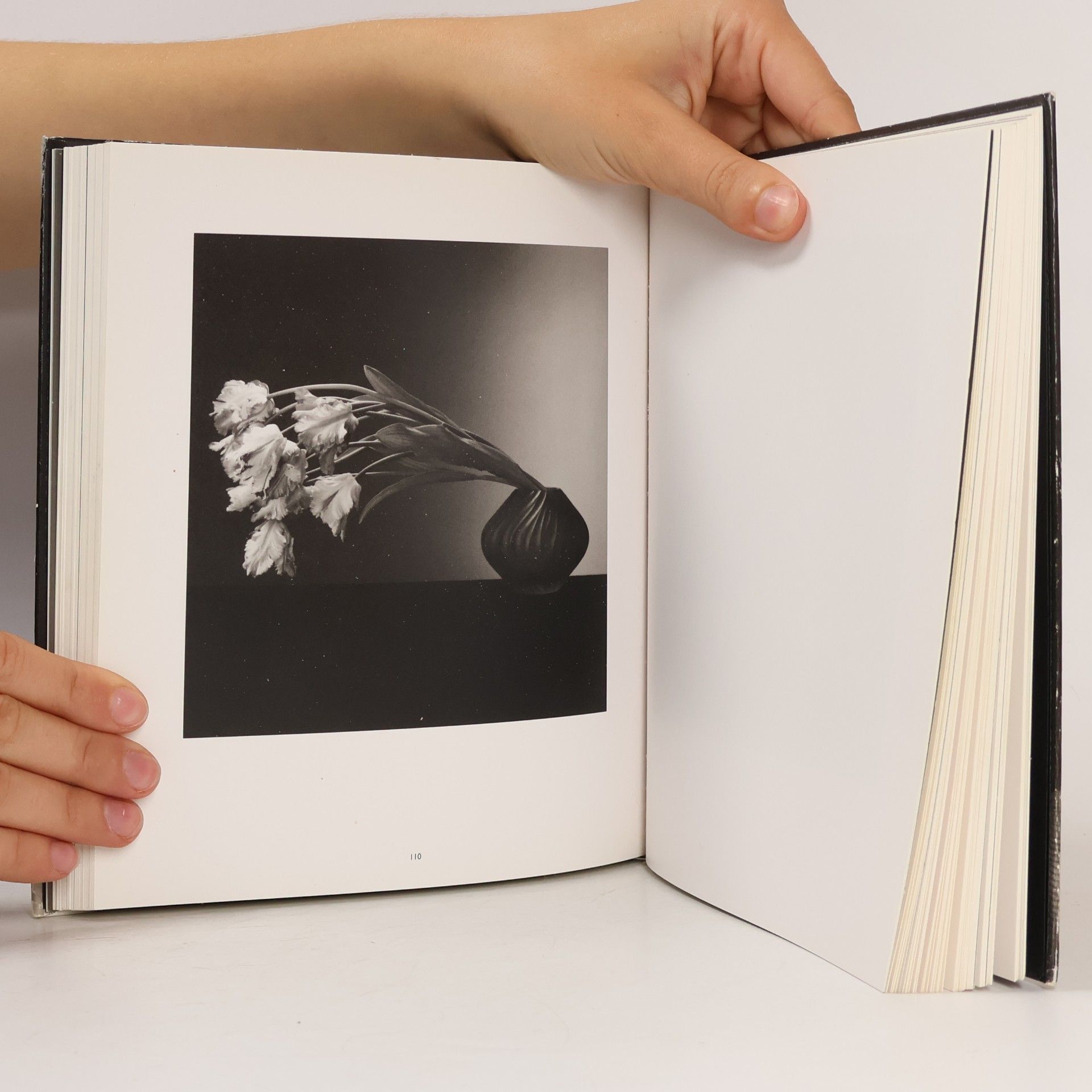 Robert Mapplethorpe Robert Mapplethorpe Photographs