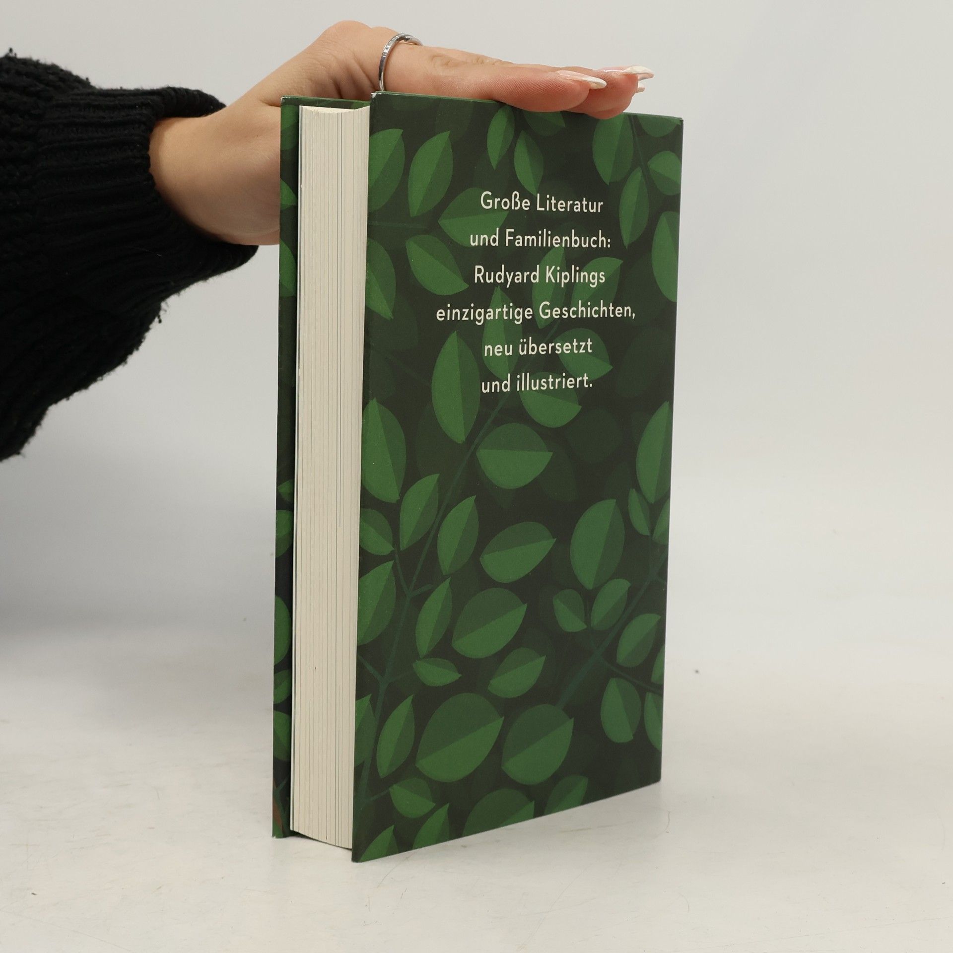 Rudyard Kipling Das Dschungelbuch 1 & 2