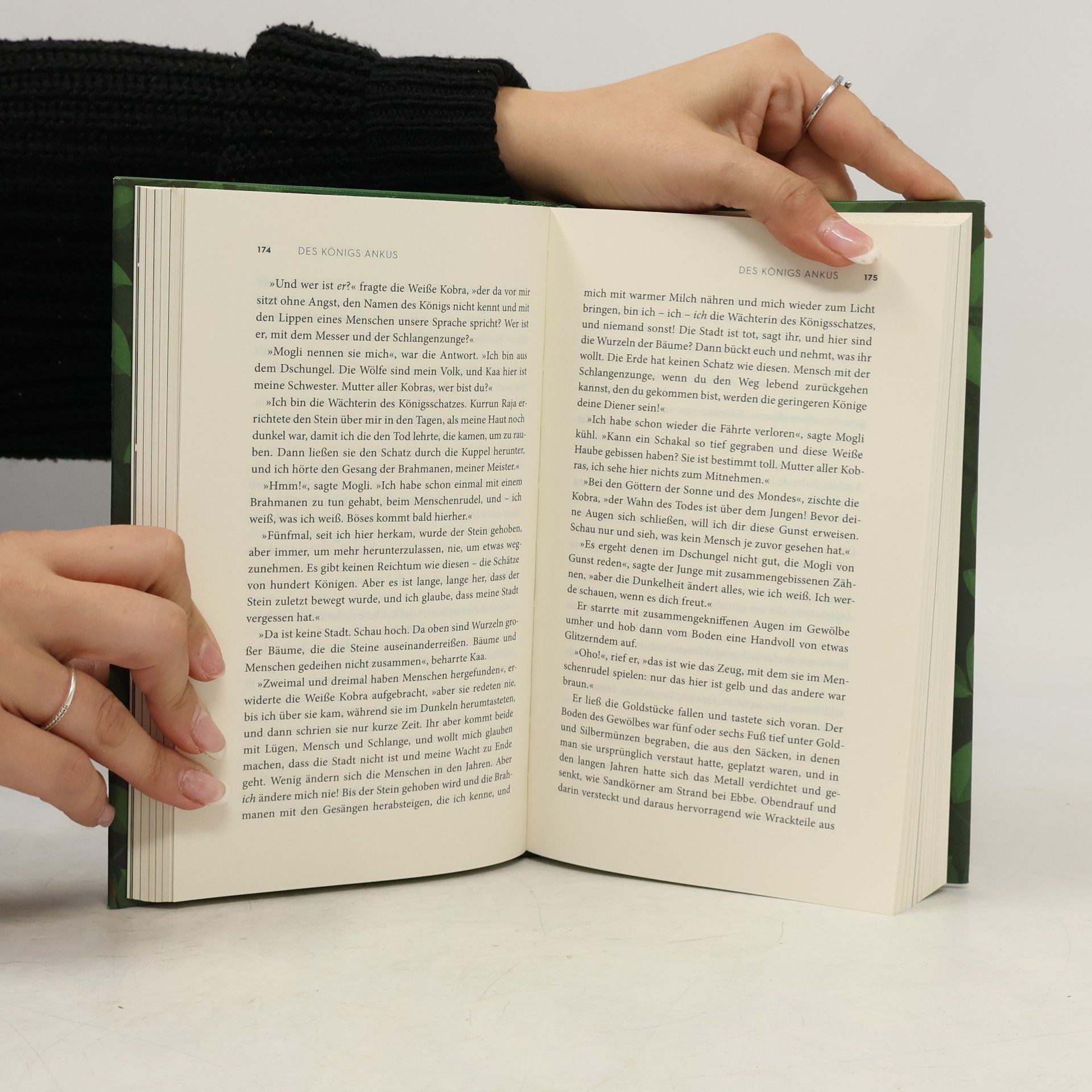 Rudyard Kipling Das Dschungelbuch 1 & 2