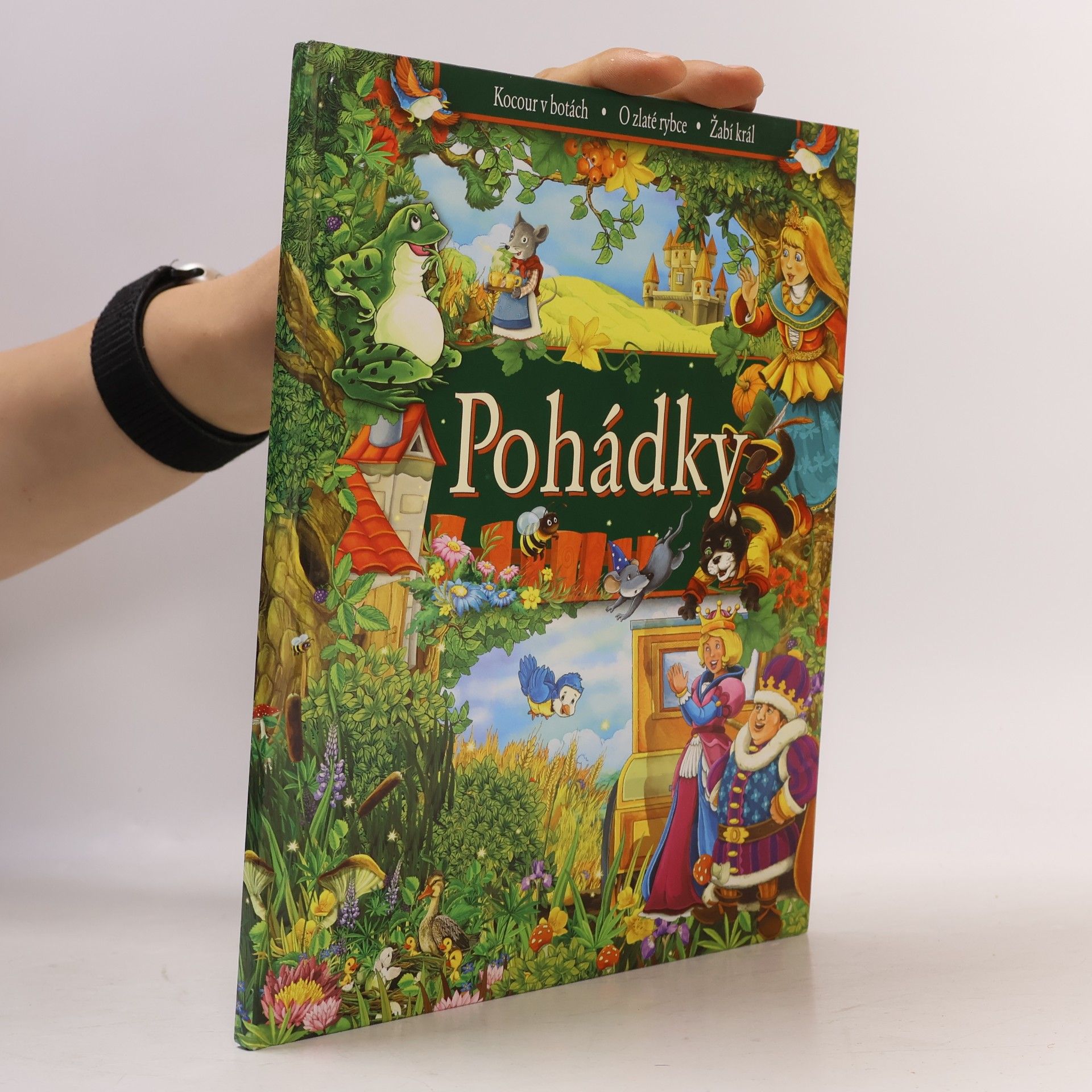Autorenkollektiv Pohádky. Kocour v botách. O zlaté rybce. Žabí král
