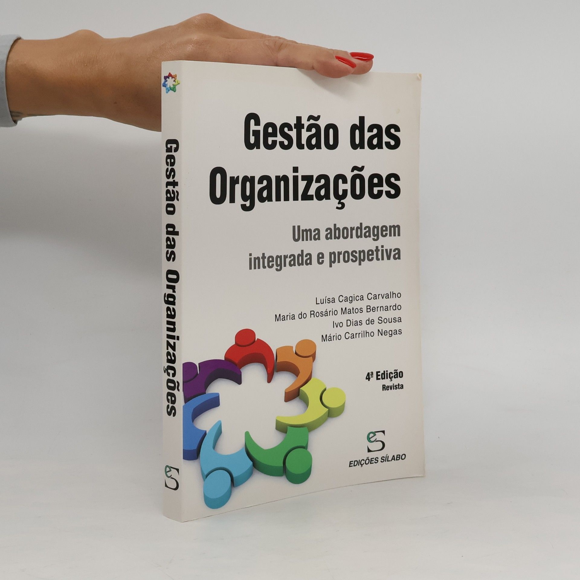 Maria do Rosário Matos Bernardo Gestão das Organizações