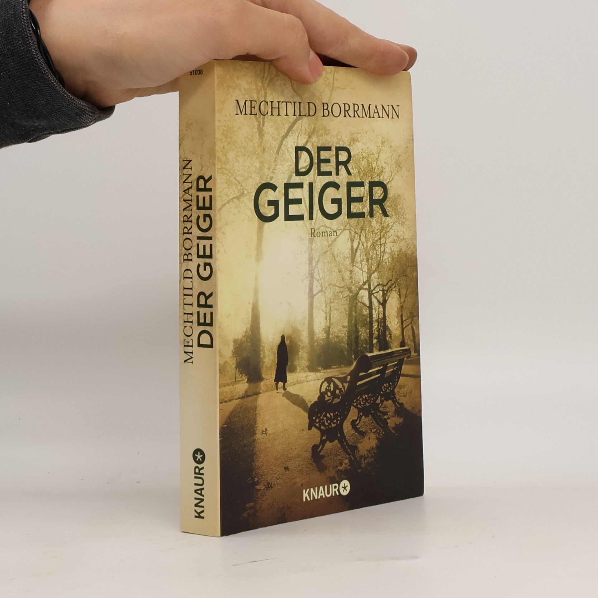 Mechtild Borrmann Der Geiger