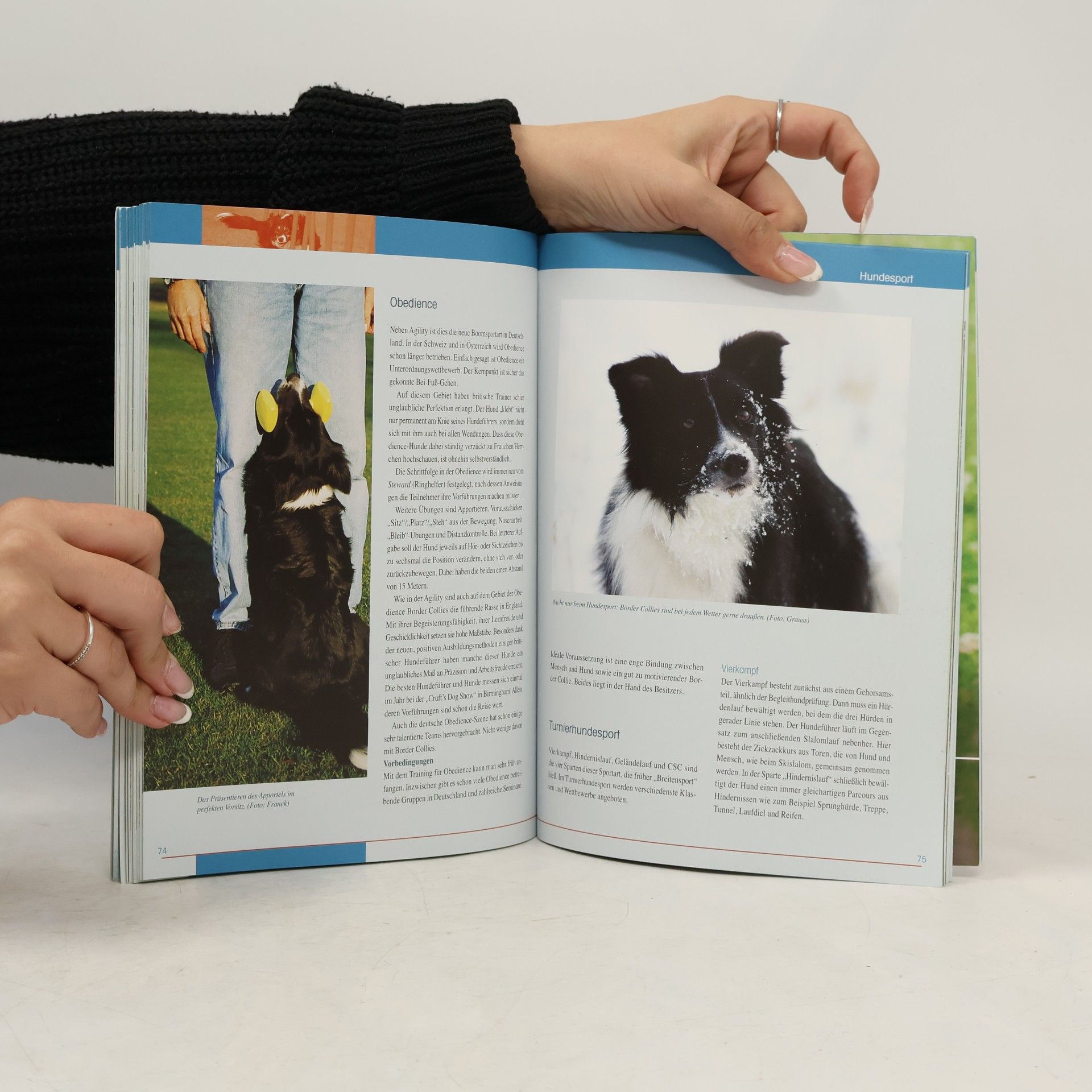 Rolf C. Franck Border Collie