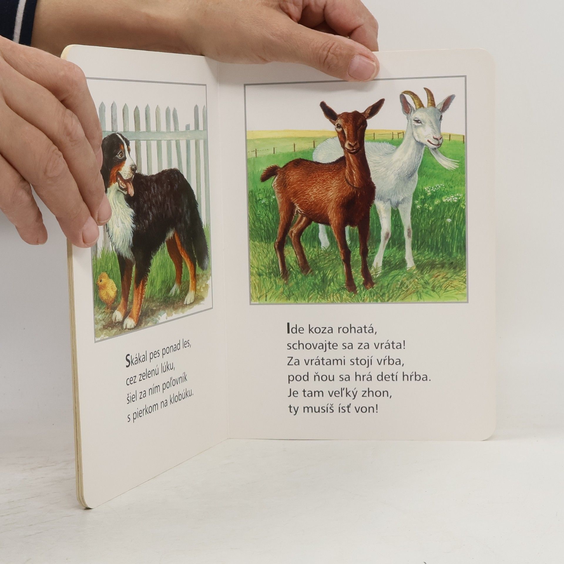 Various authors Ľudové riekanky o zvieratkách