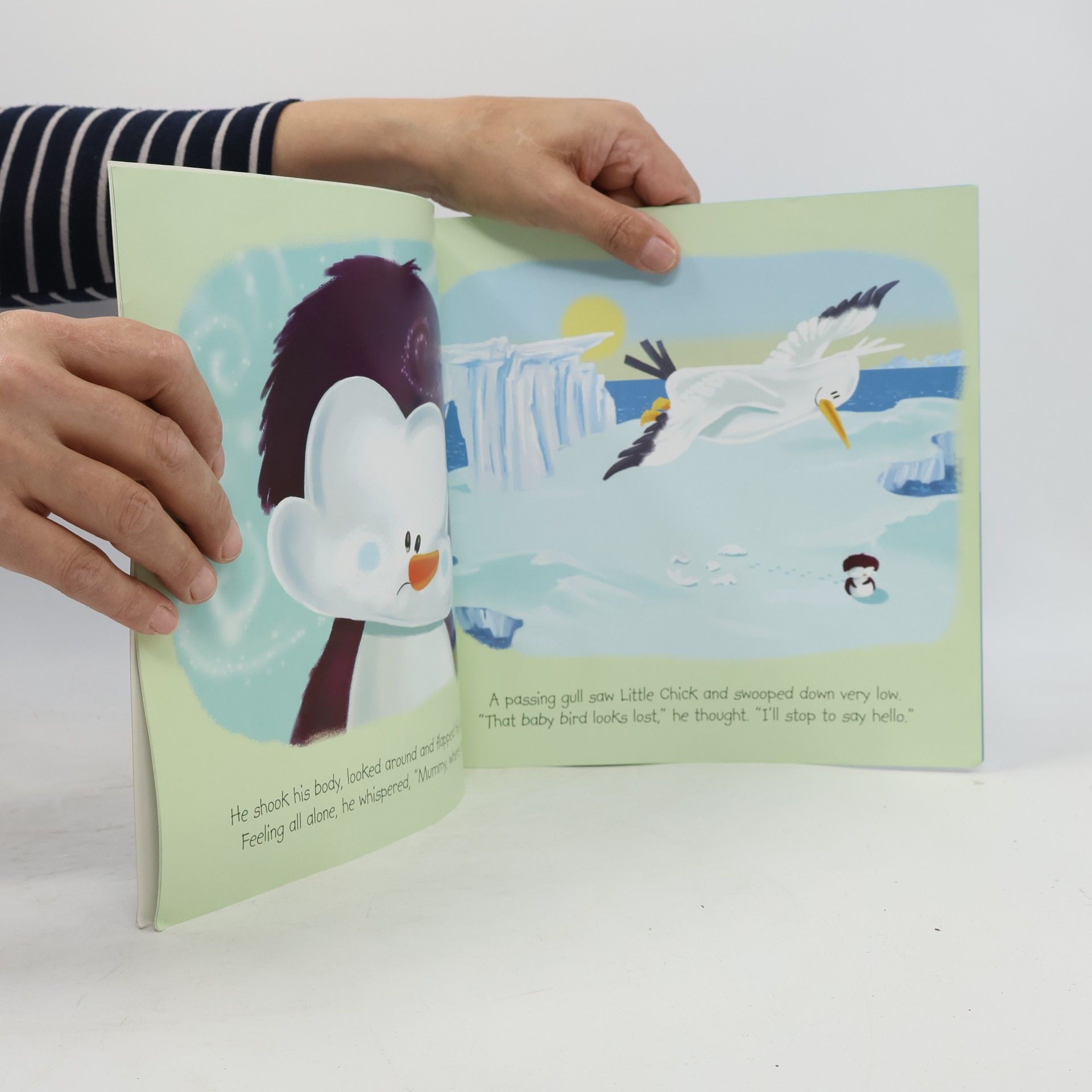 Melanie Joyce Little, Lost Penguin - Picture Flats Glitter