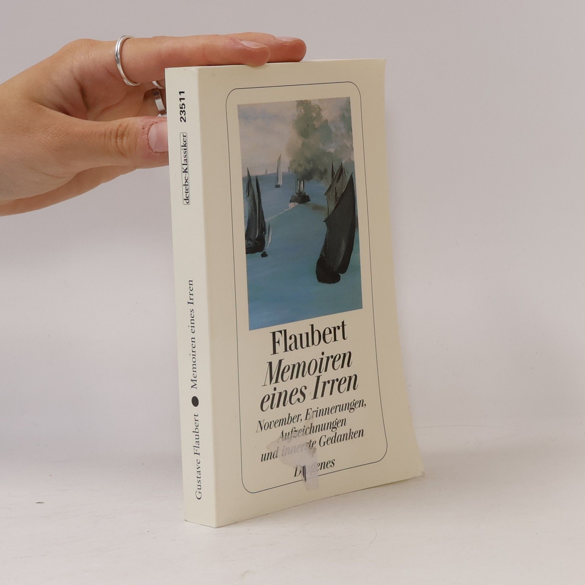 Gustave Flaubert Memoiren eines Irren