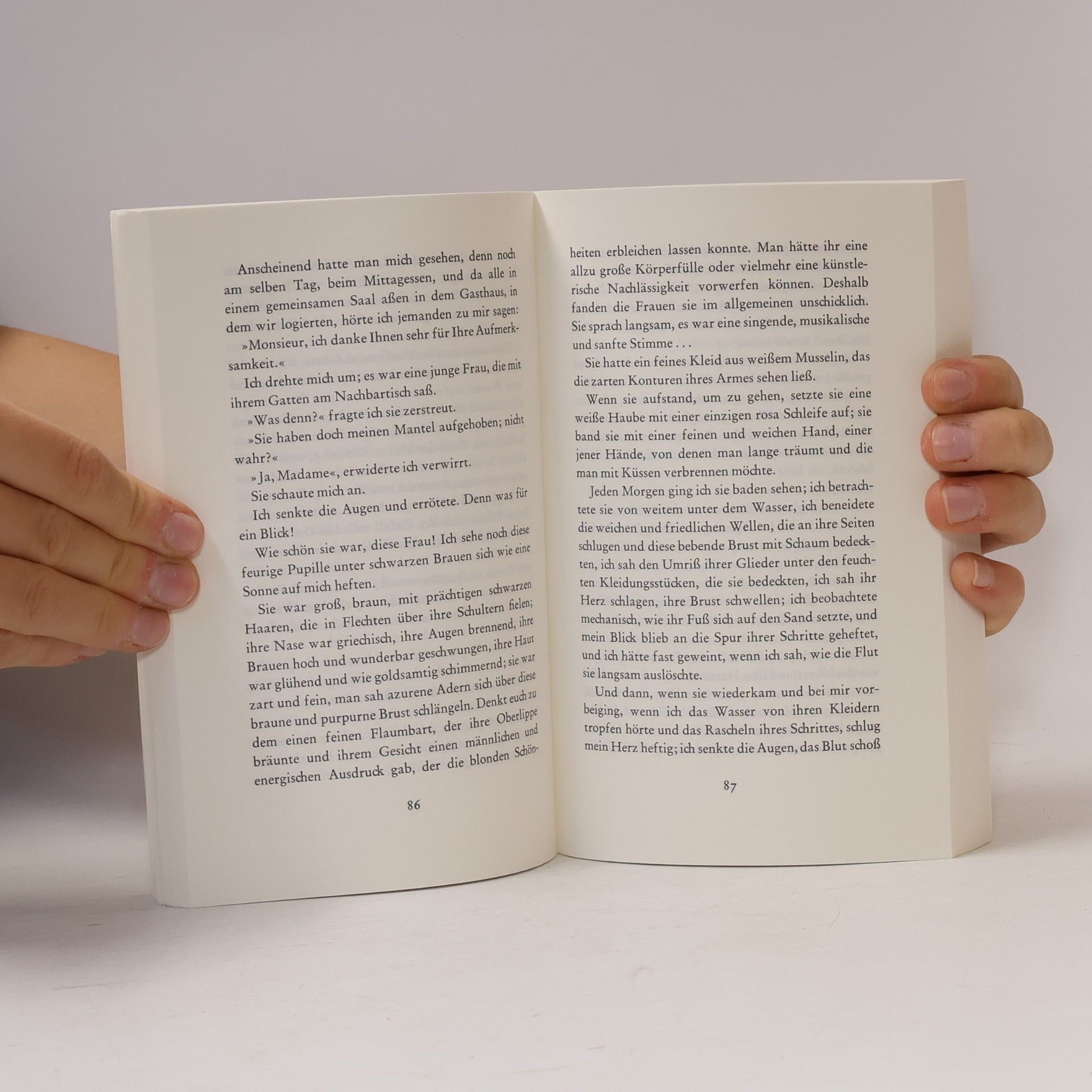 Gustave Flaubert Memoiren eines Irren