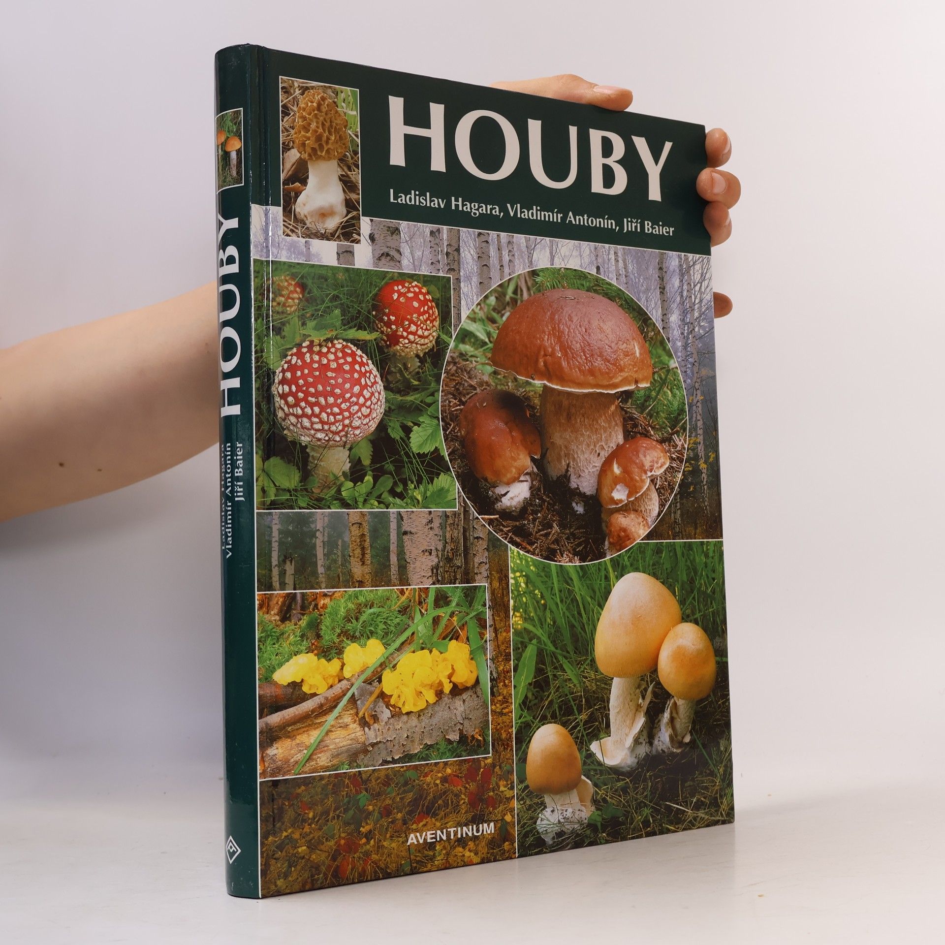 Ladislav Hagara Houby