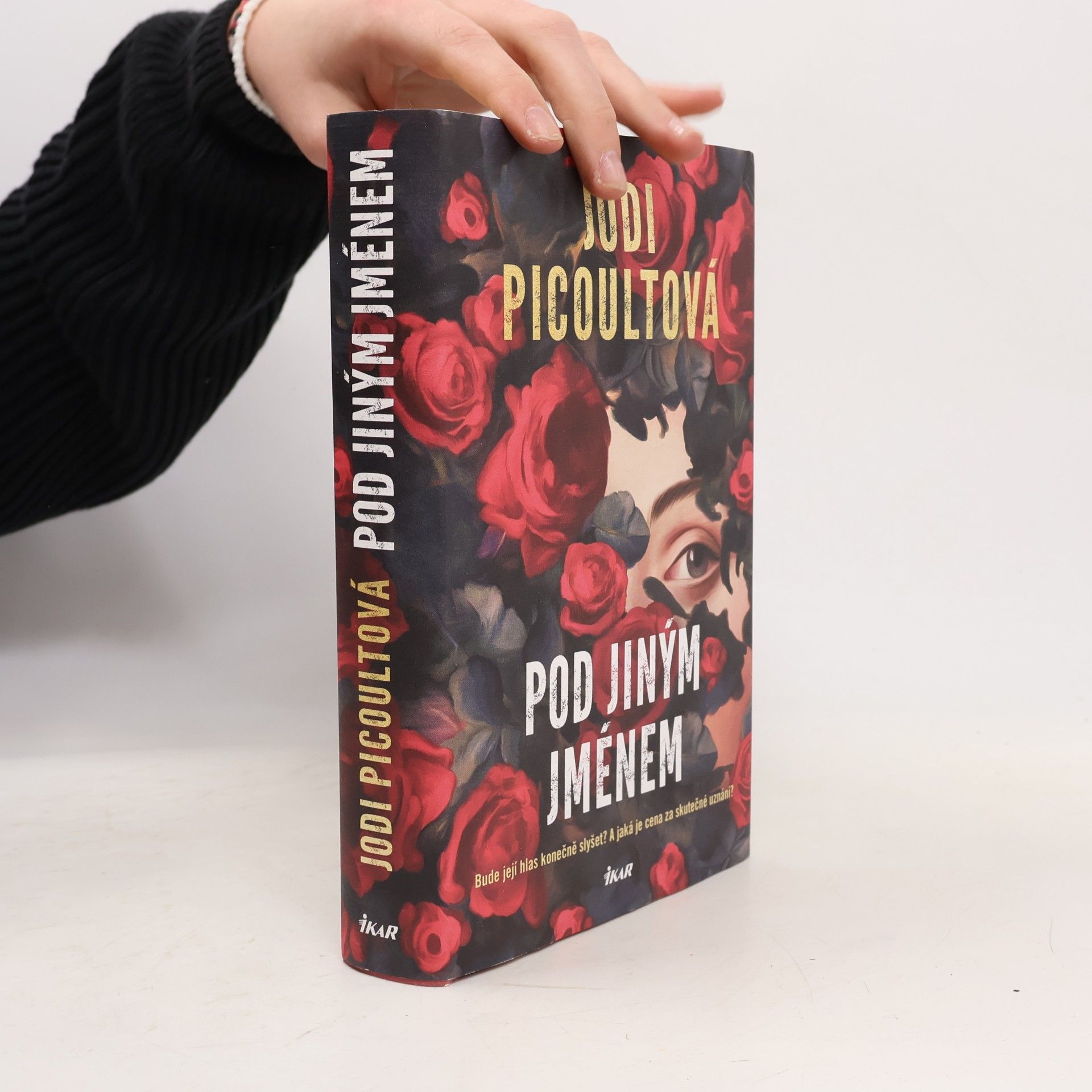 Jodi Picoult Pod jiným jménem