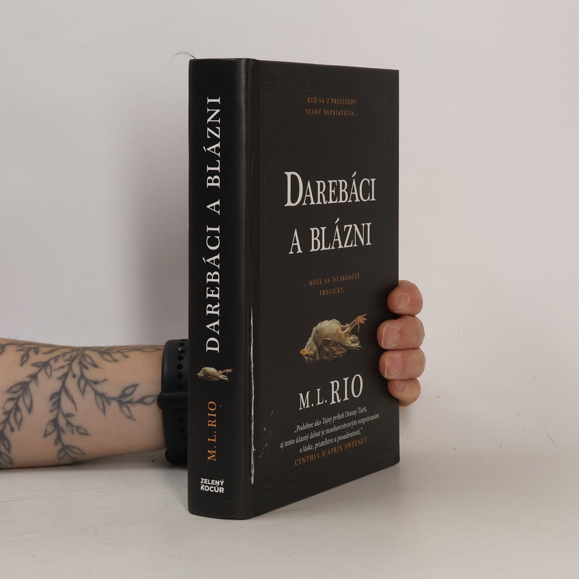 M. L. Rio Darebáci a blázni