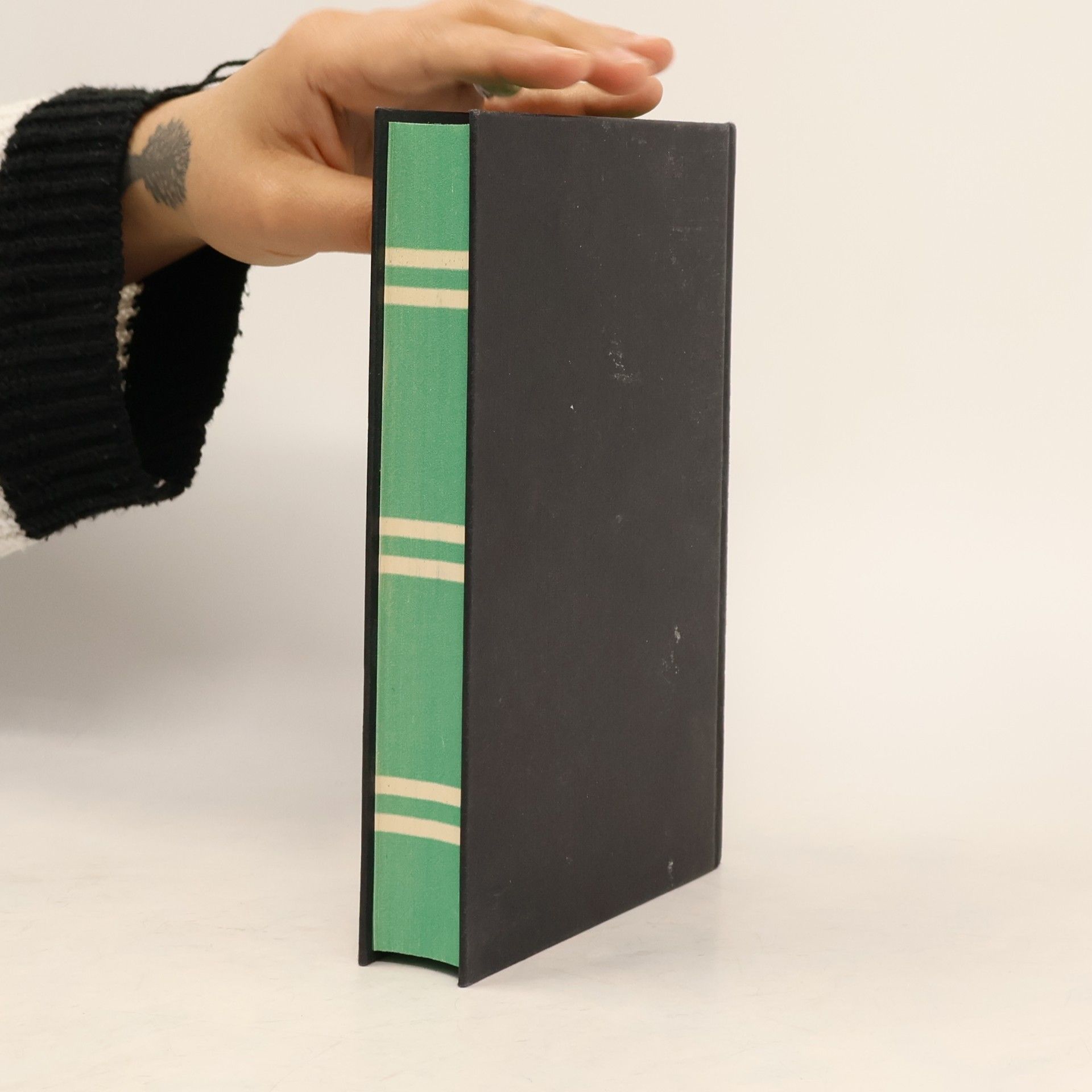 Joanne K. Rowlingová HARRY POTTER and the Philosopher's Stone and the Philosopher's Stone: SLYTHERIN EDITION