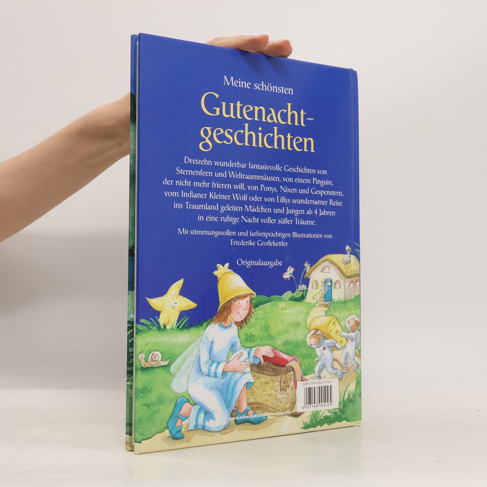 Kolektív autorov Meine schönsten Gutenachtgeschichten