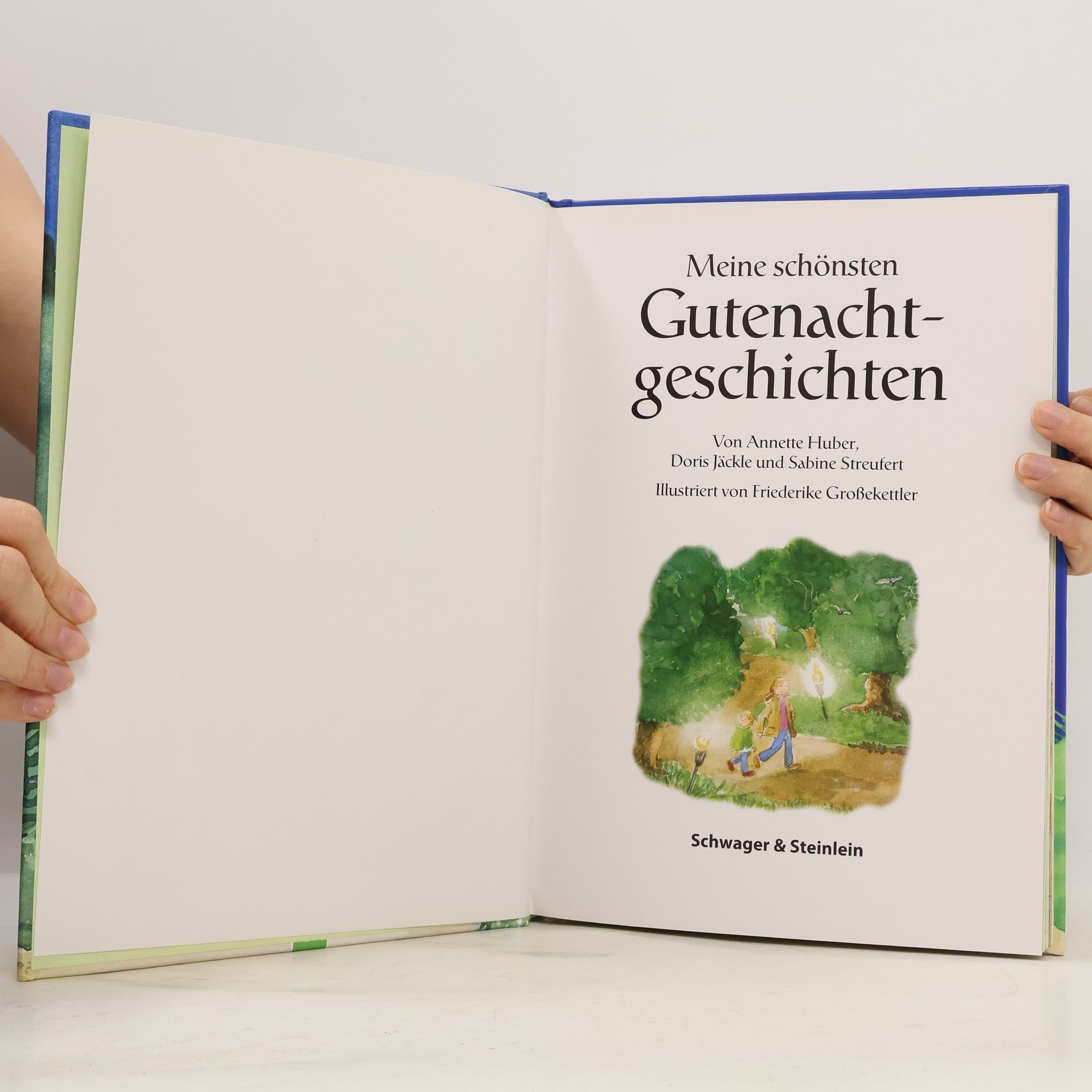 Kolektív autorov Meine schönsten Gutenachtgeschichten