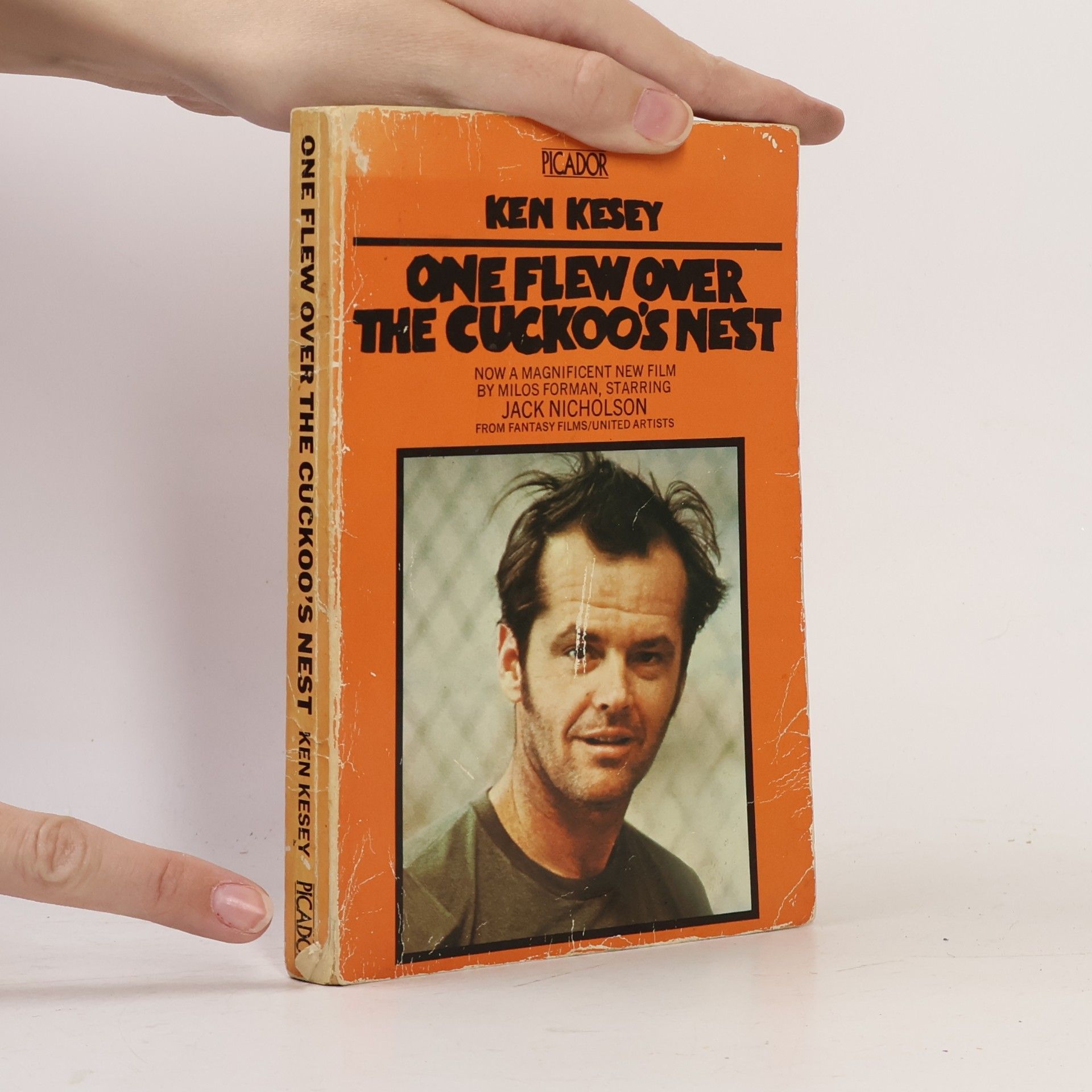 Ken Kesey One Flew Over the Cuckoo's Nest
