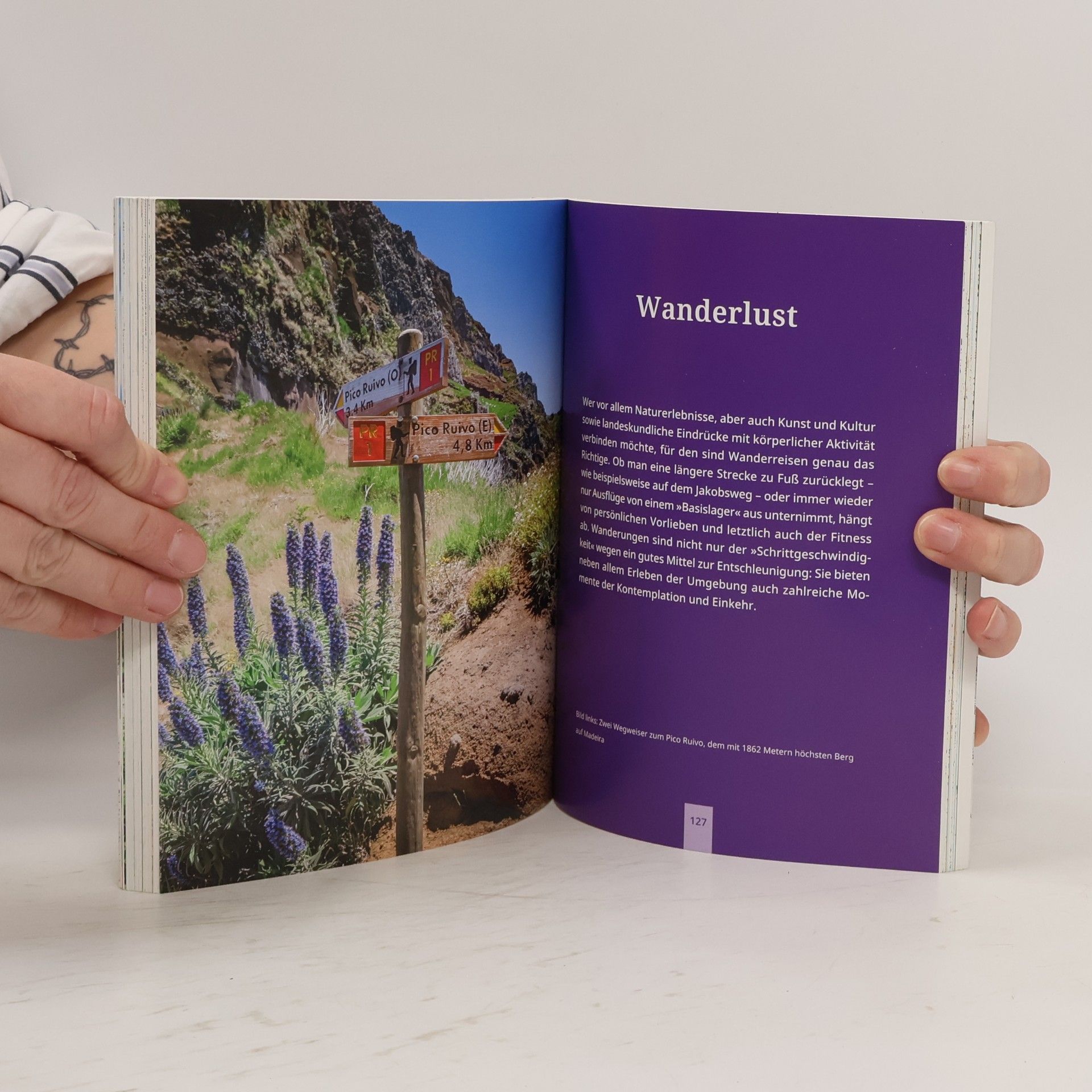 Norbert Pautner Landkarten Rätselbuch - Traumreisen