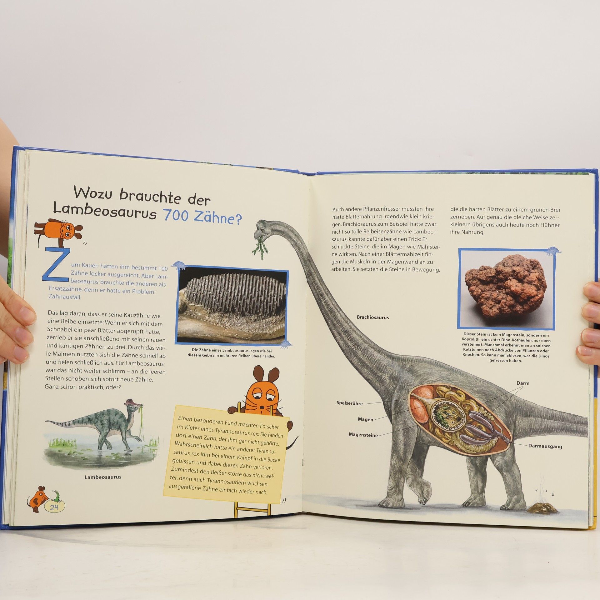 Heike Tober Dinosaurier