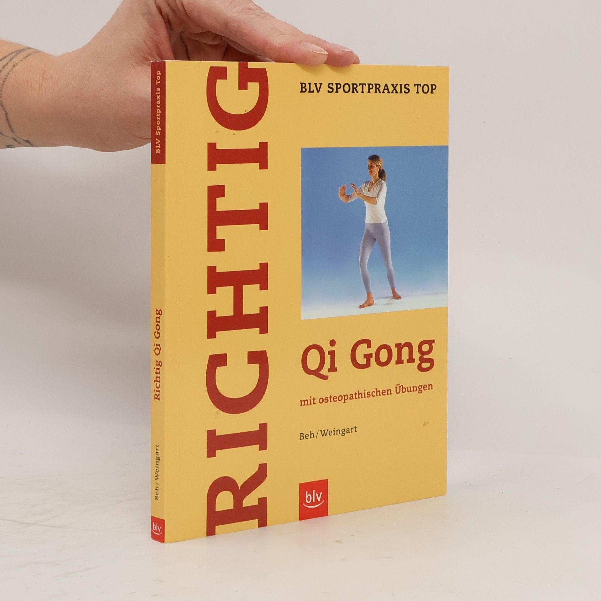 Dieter Beh Richtig Qi-qong
